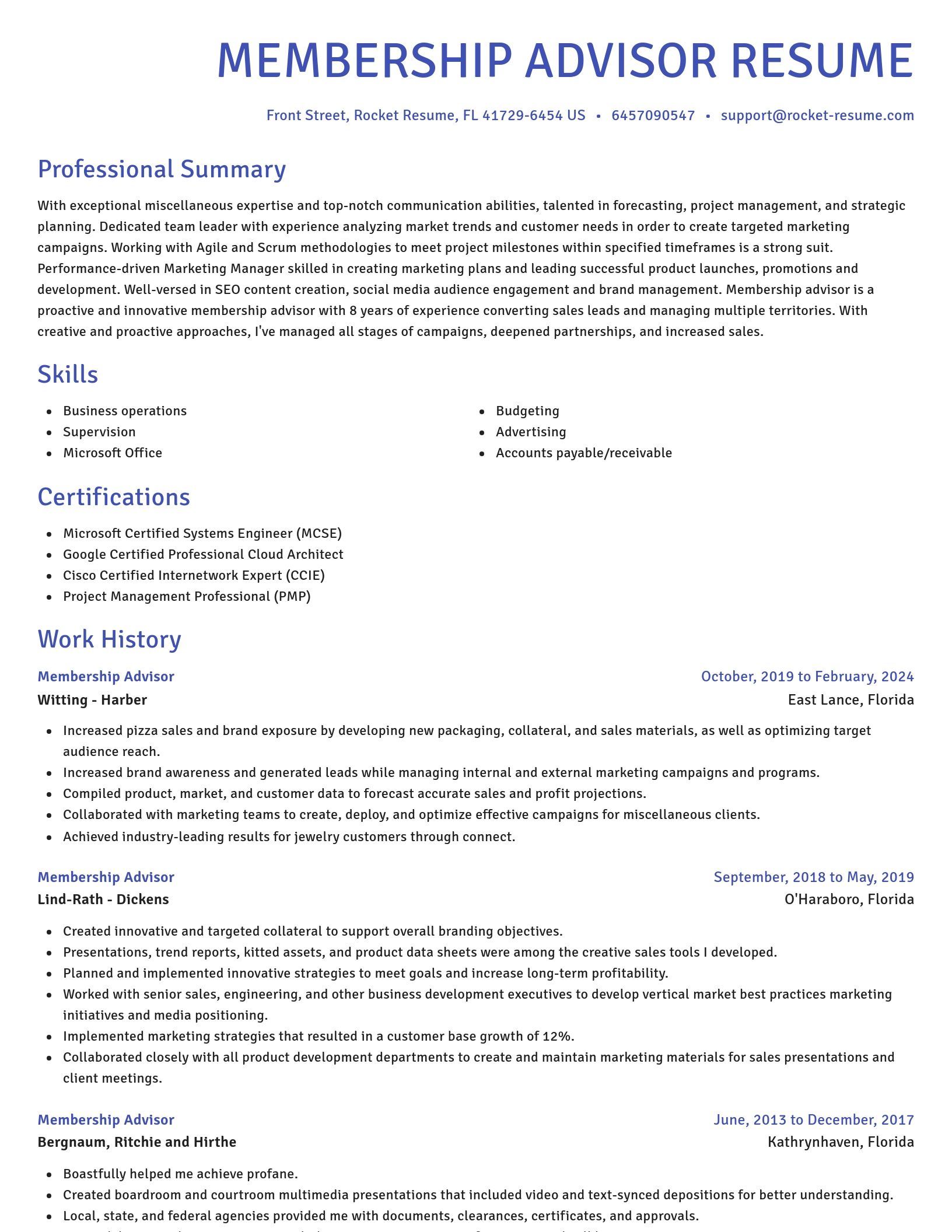 Novel resume template