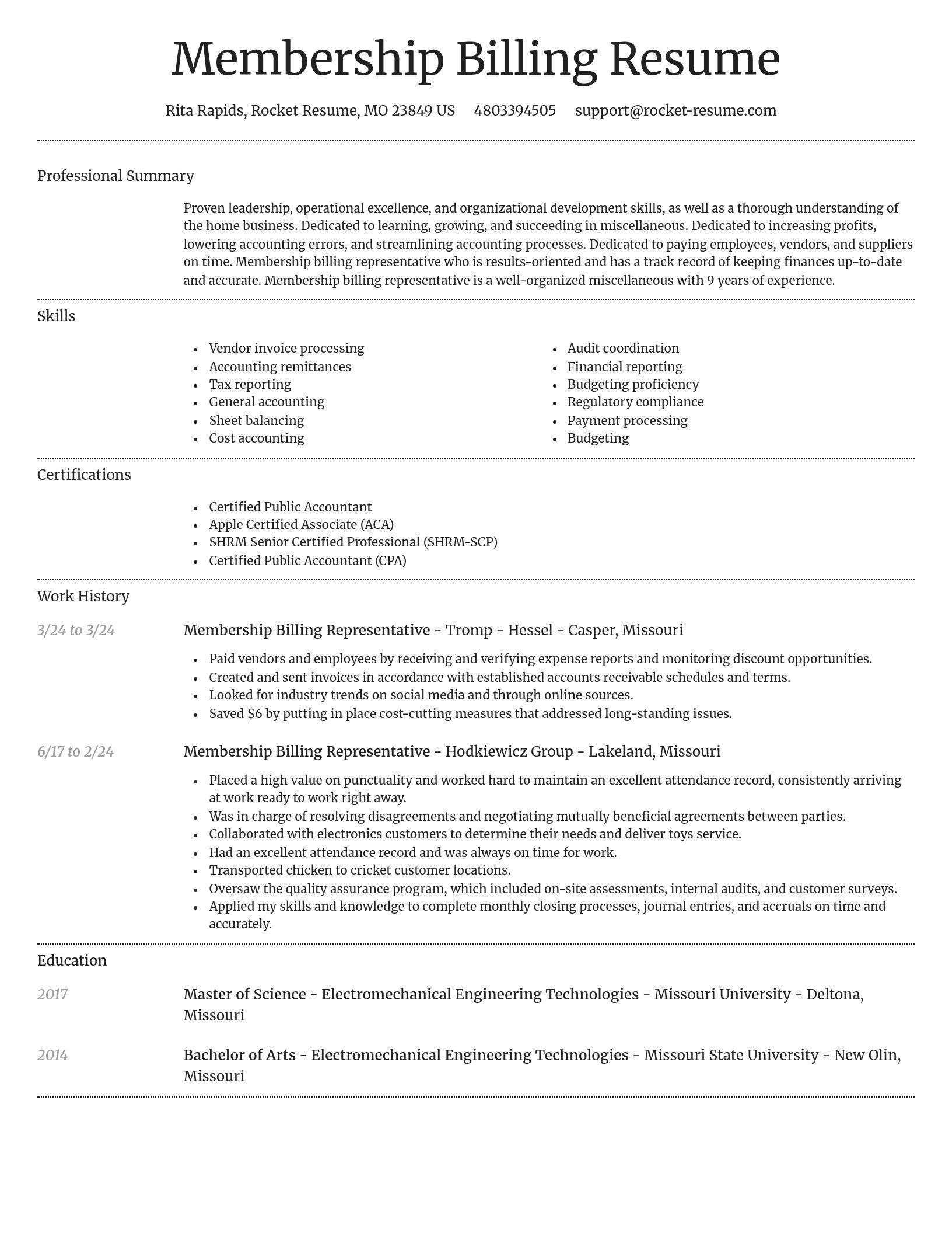 Dignified resume template