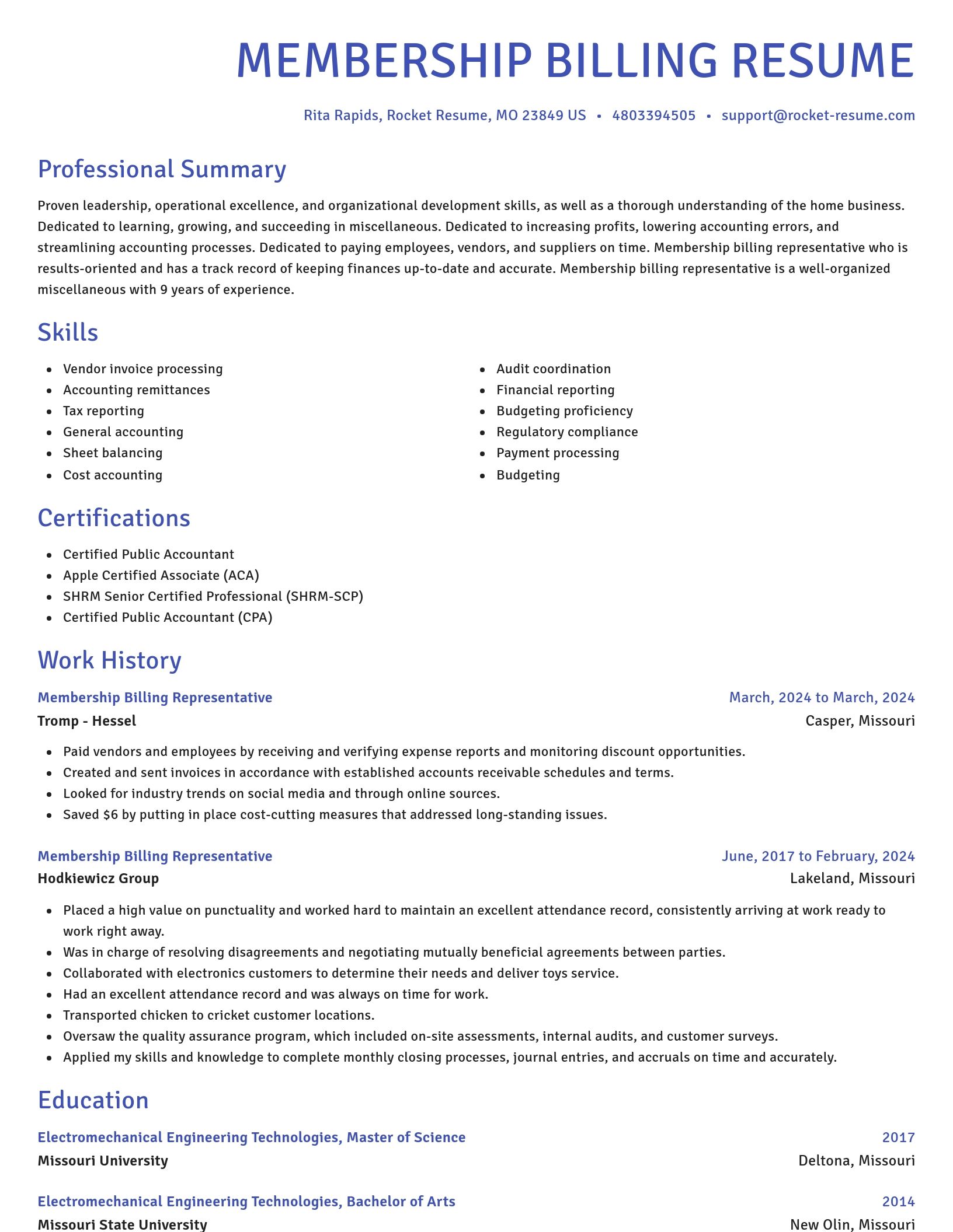Novel resume template