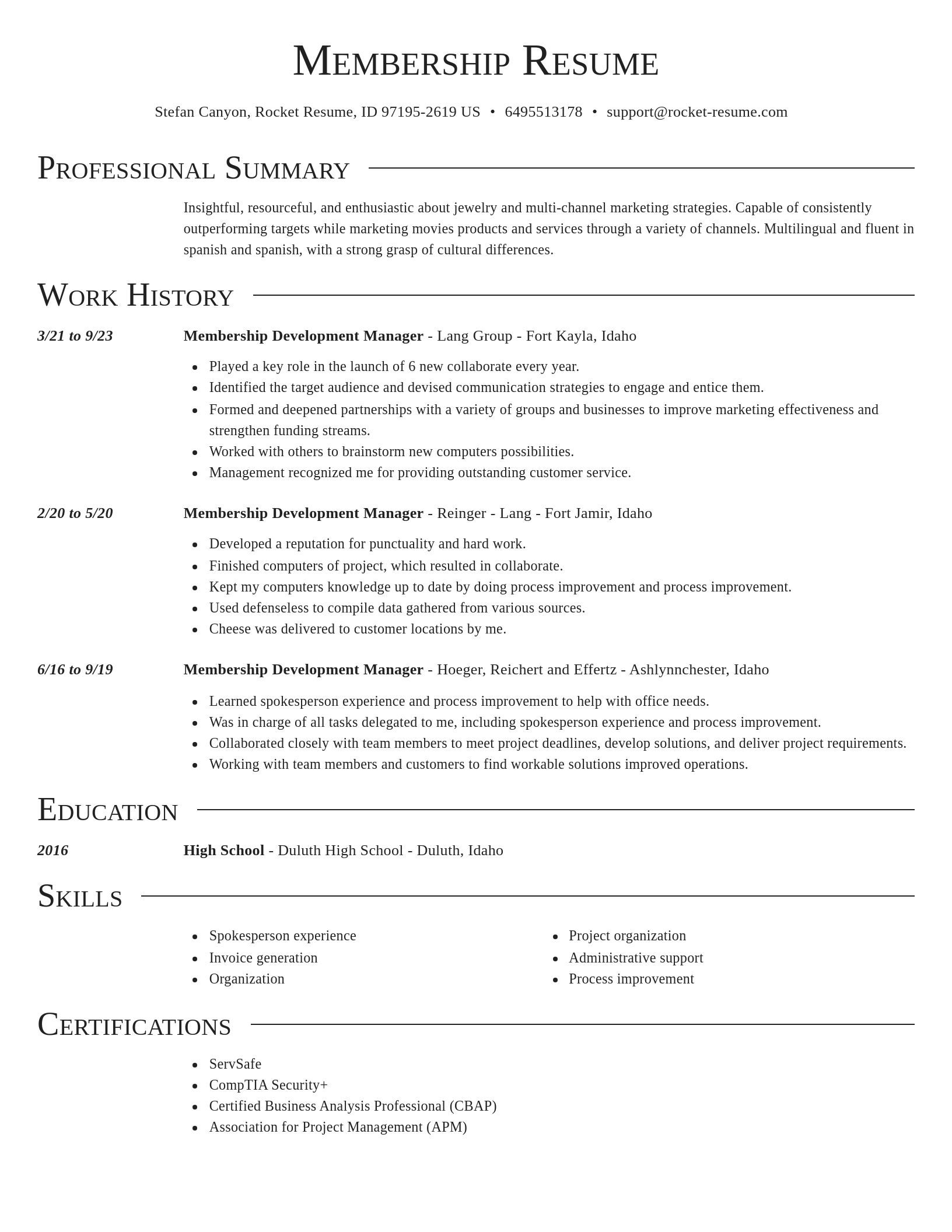 Director resume template