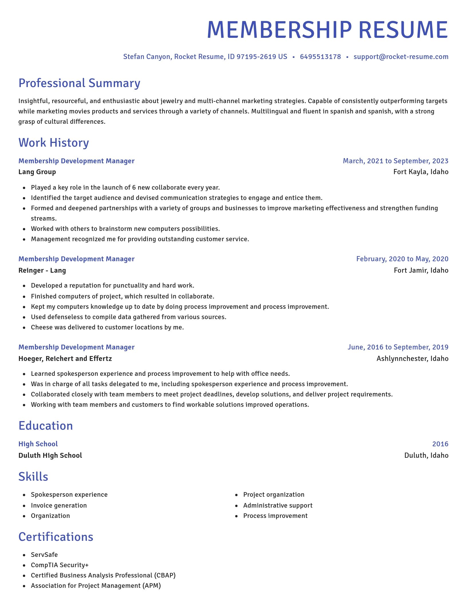 Novel resume template