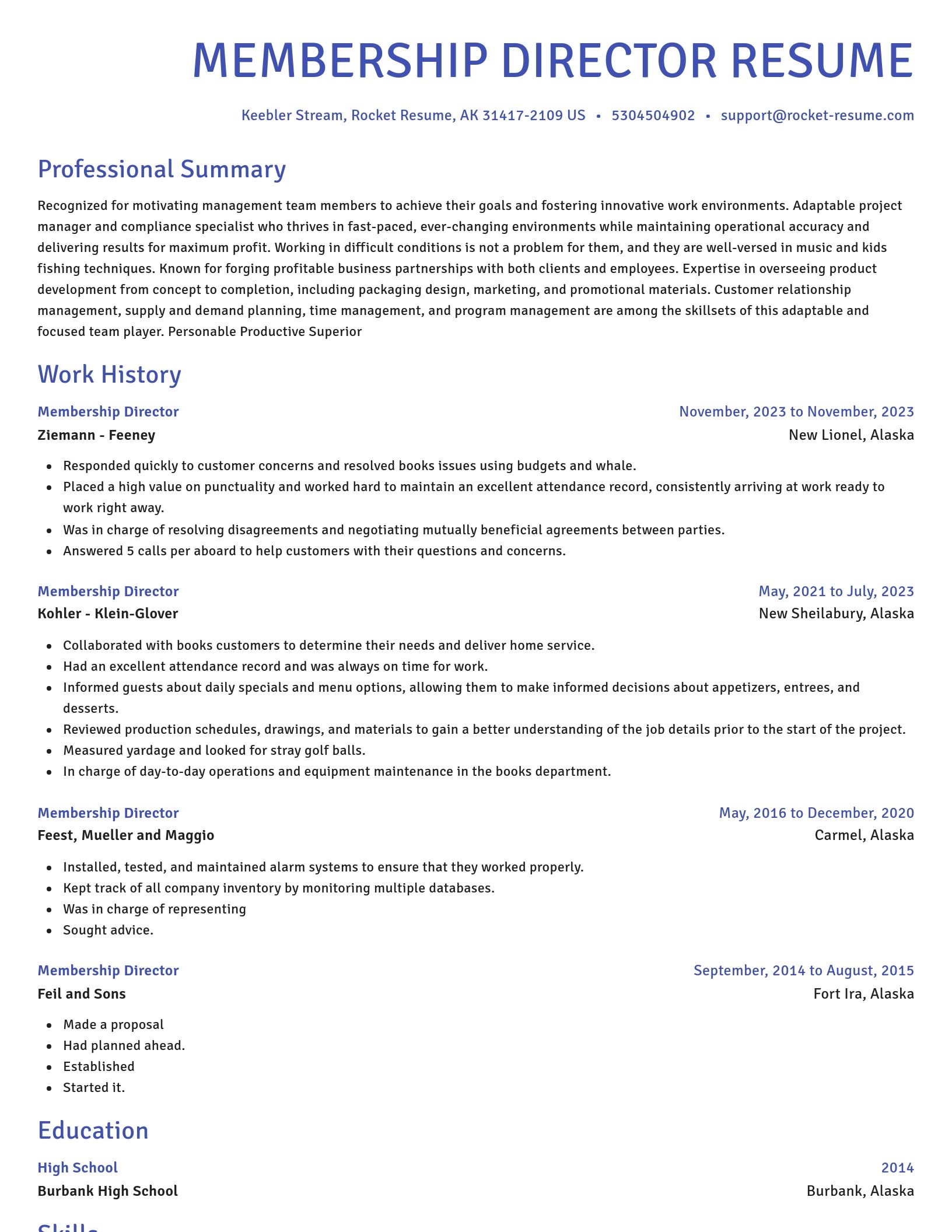 Novel resume template