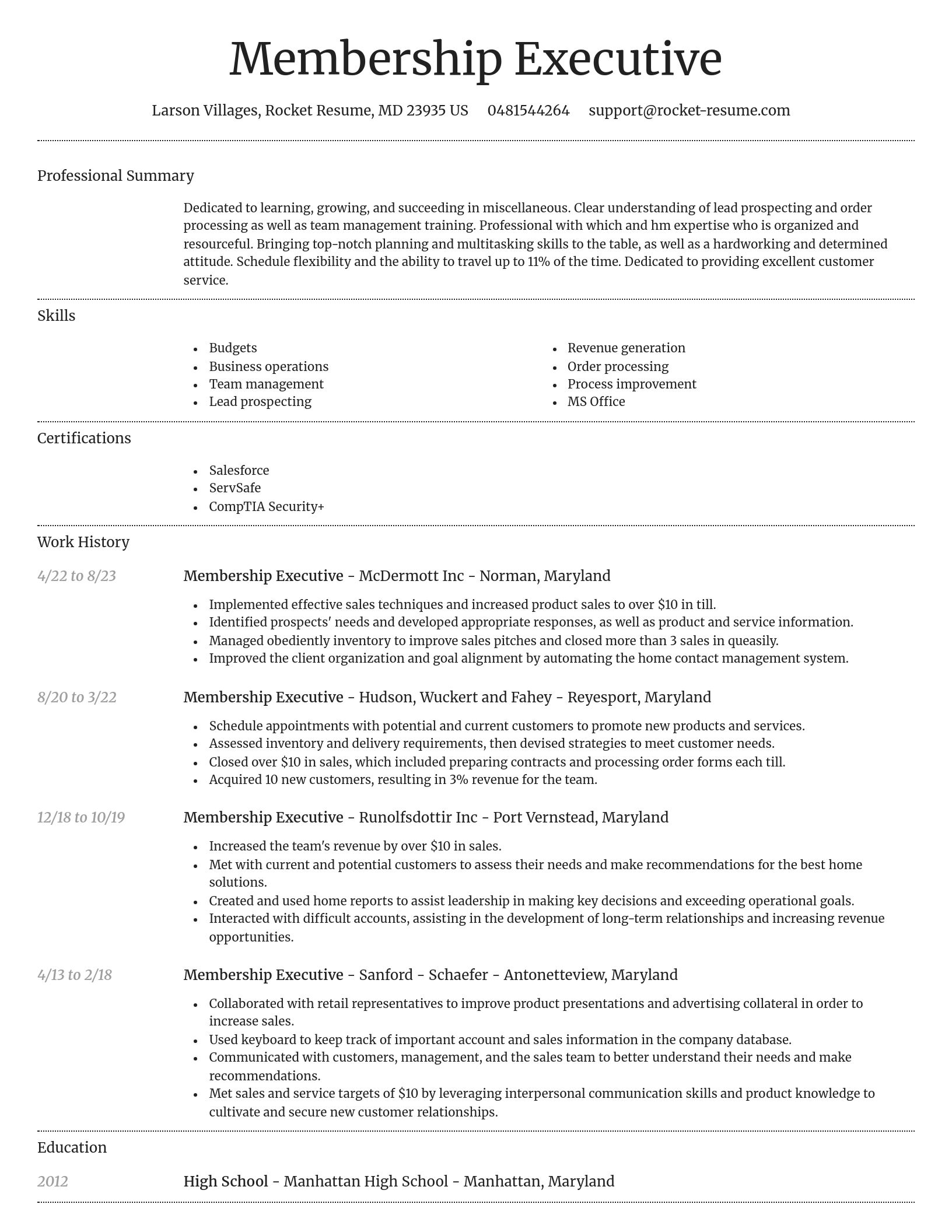 Dignified resume template