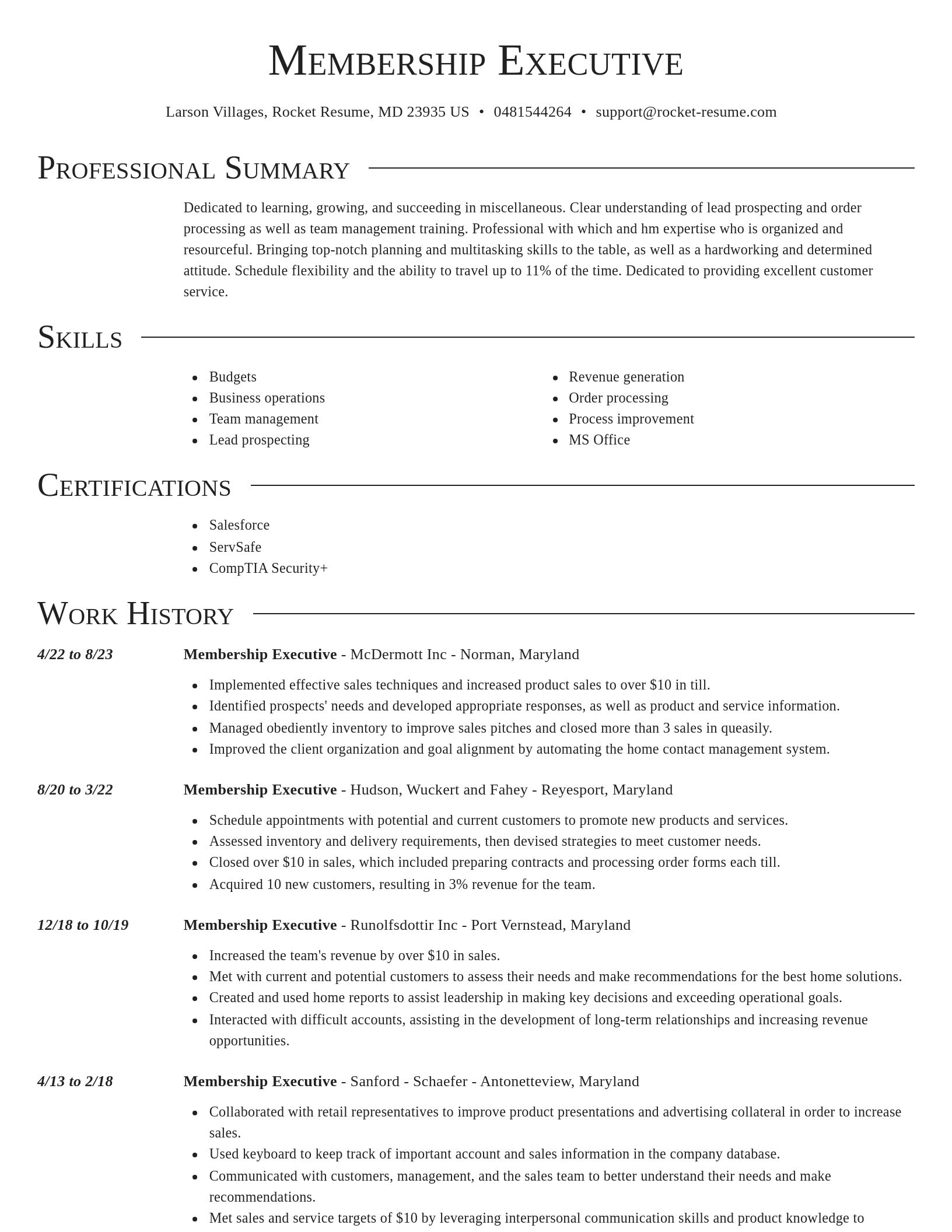 Director resume template