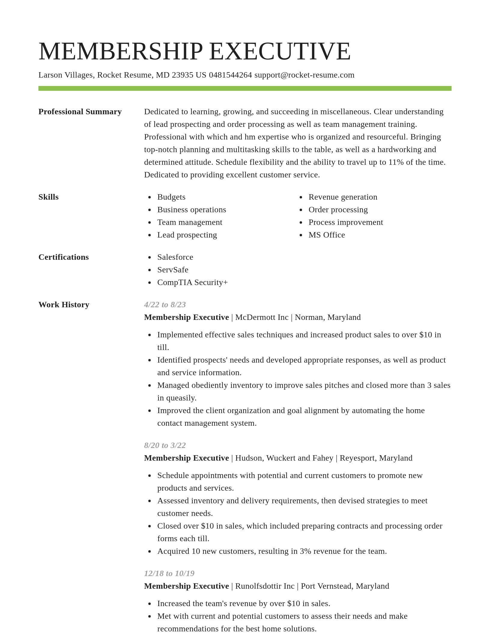 Smart resume template