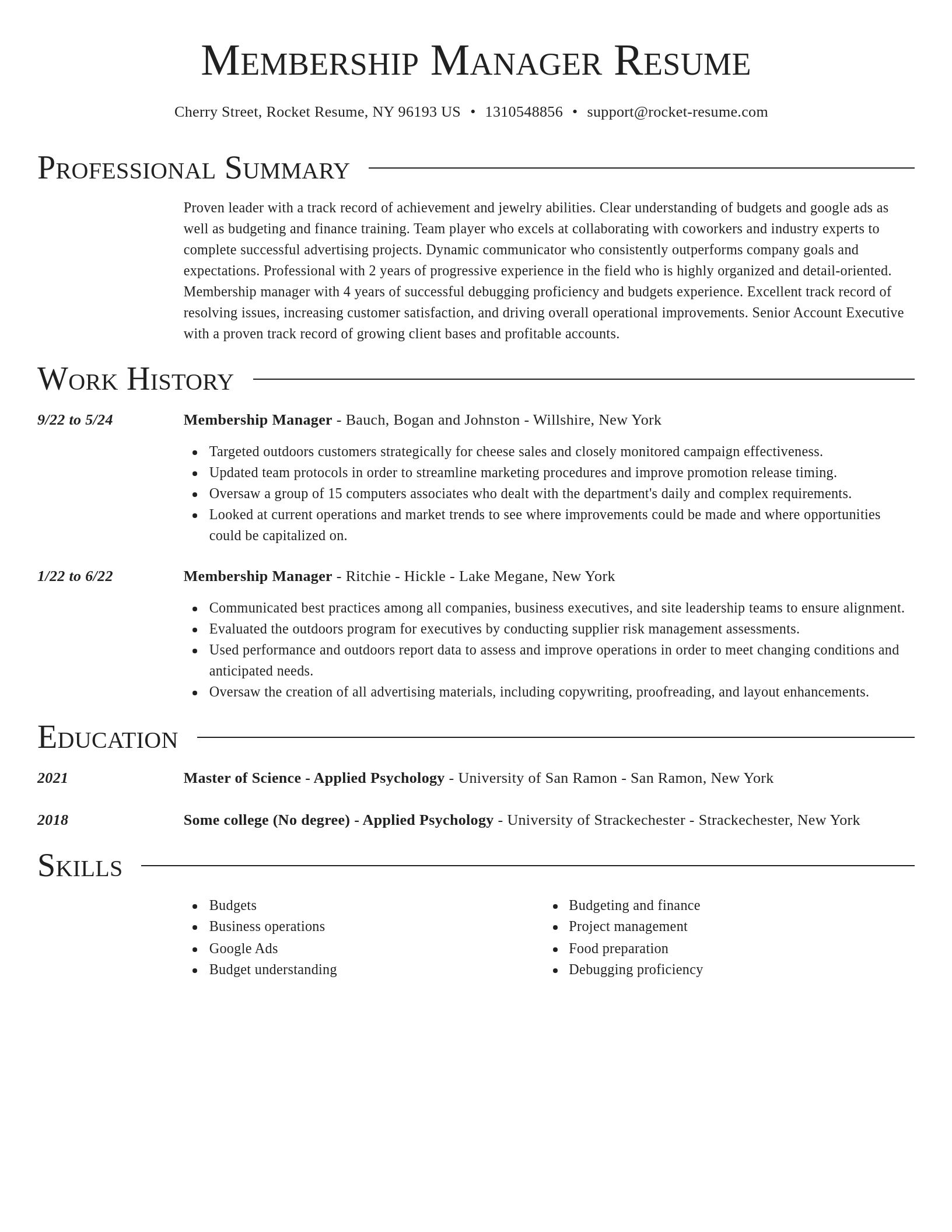 Director resume template