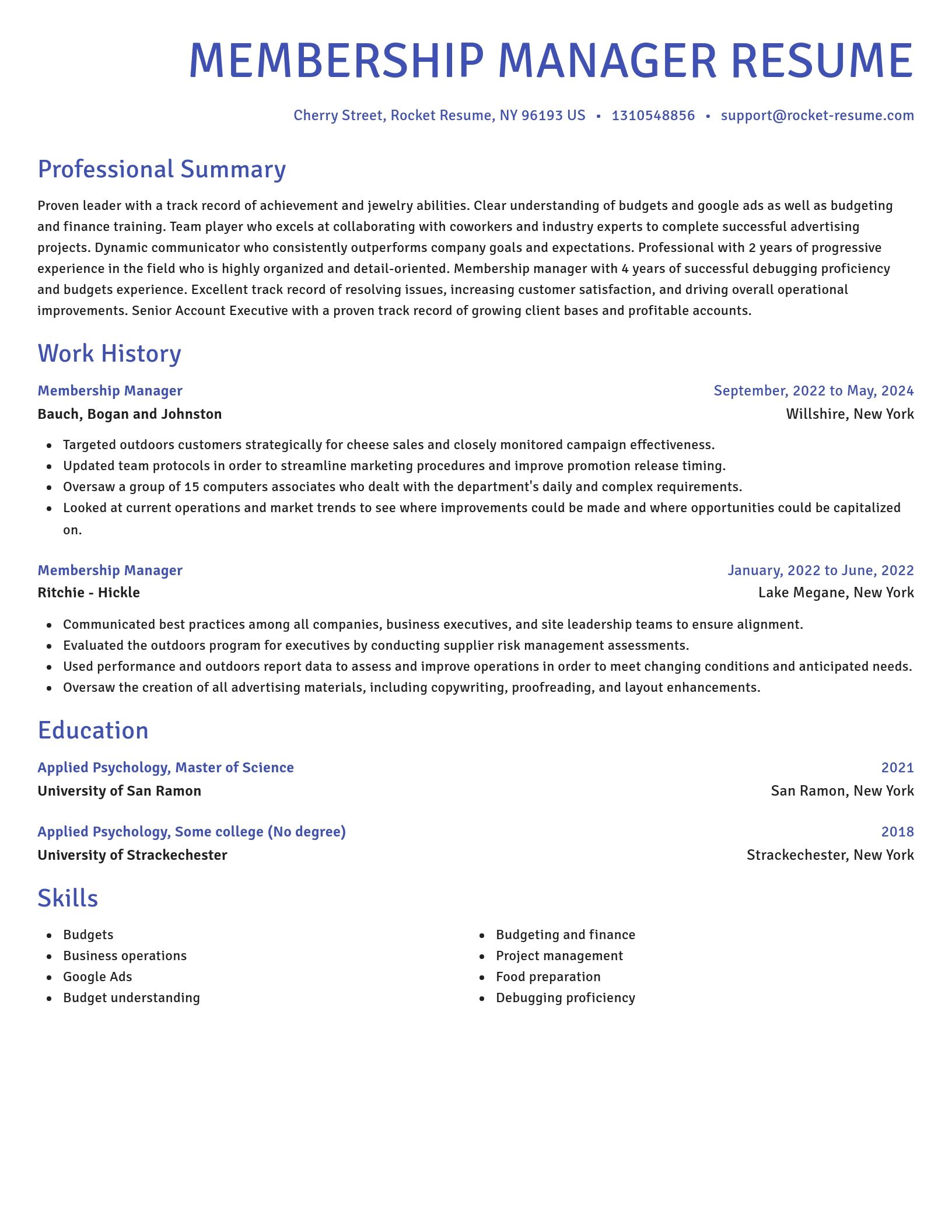 Novel resume template