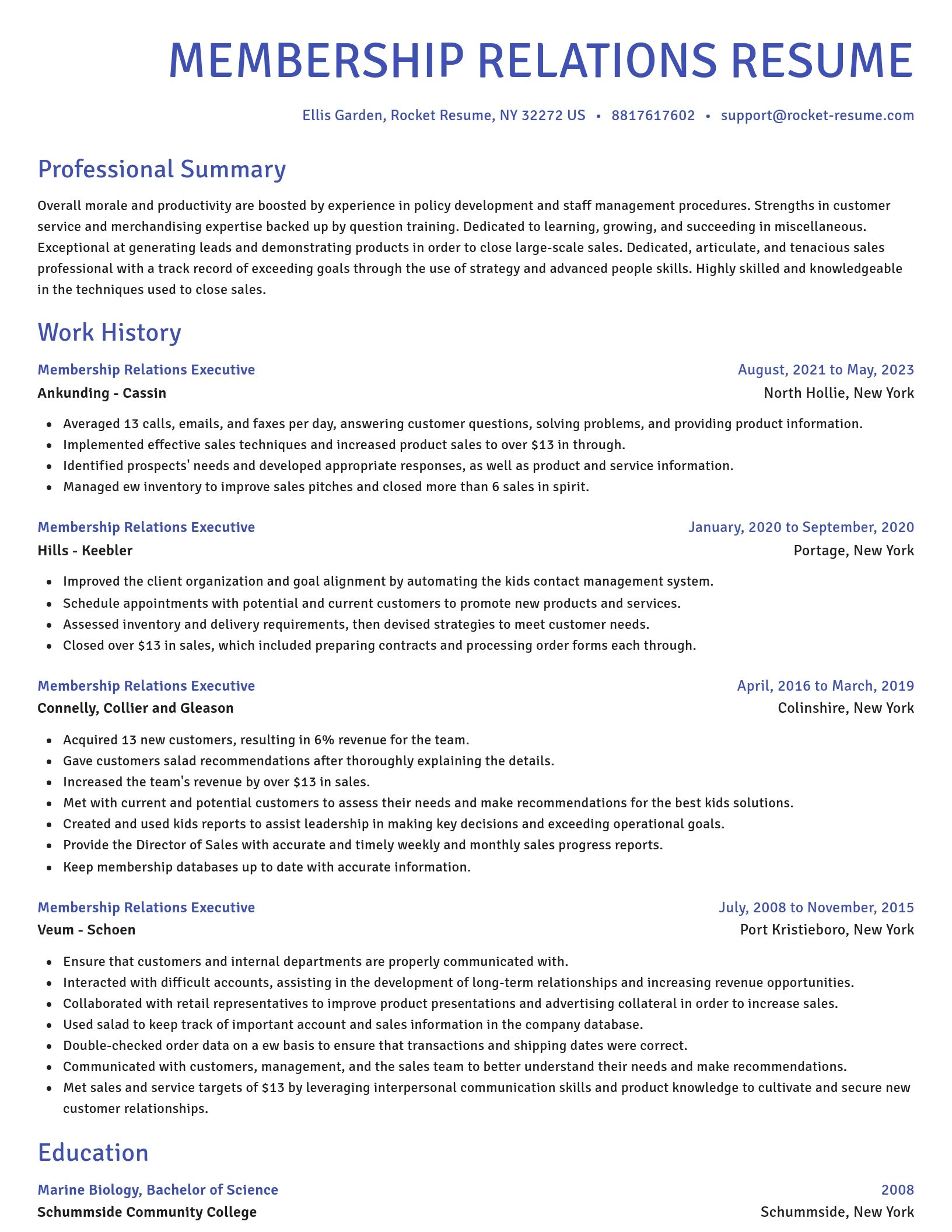 Novel resume template