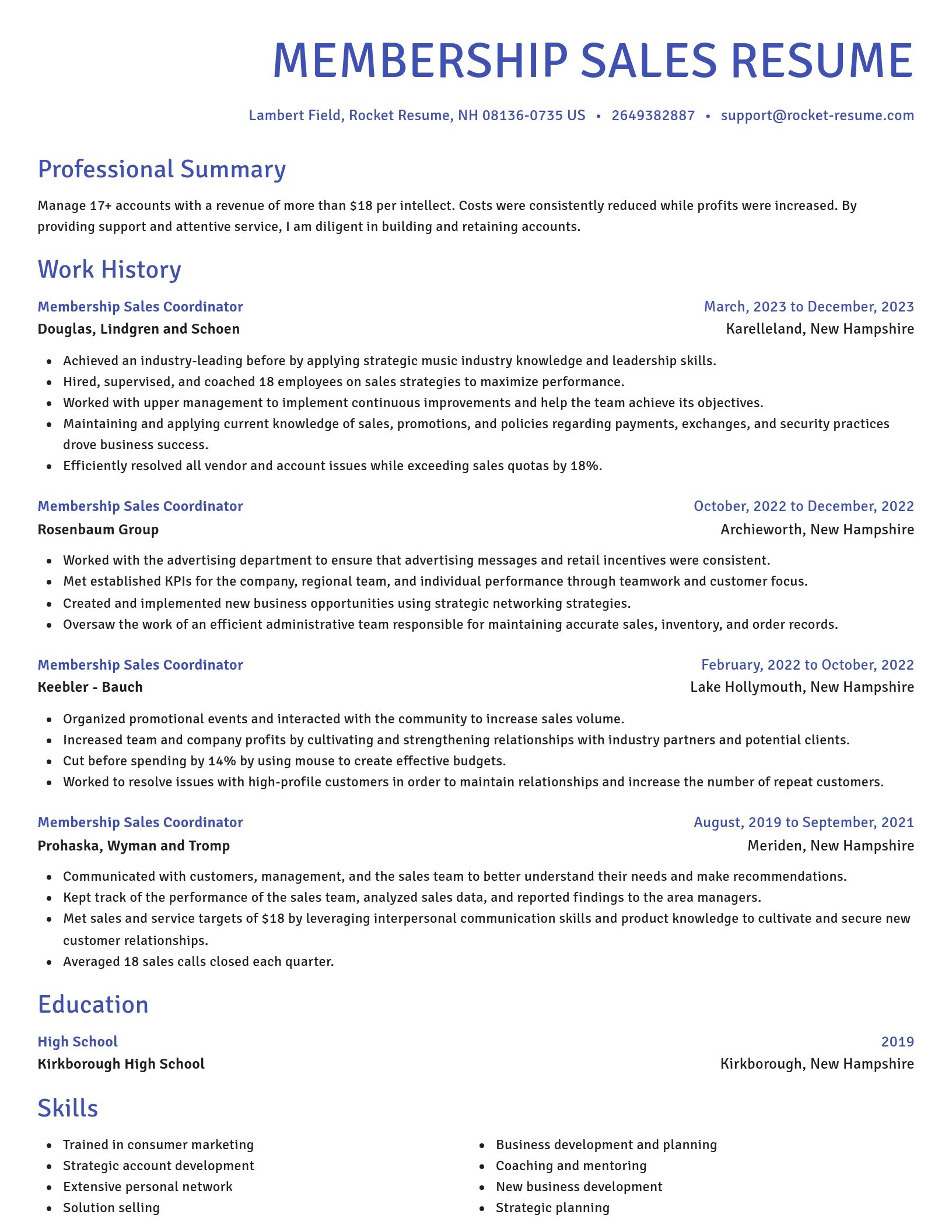 Novel resume template