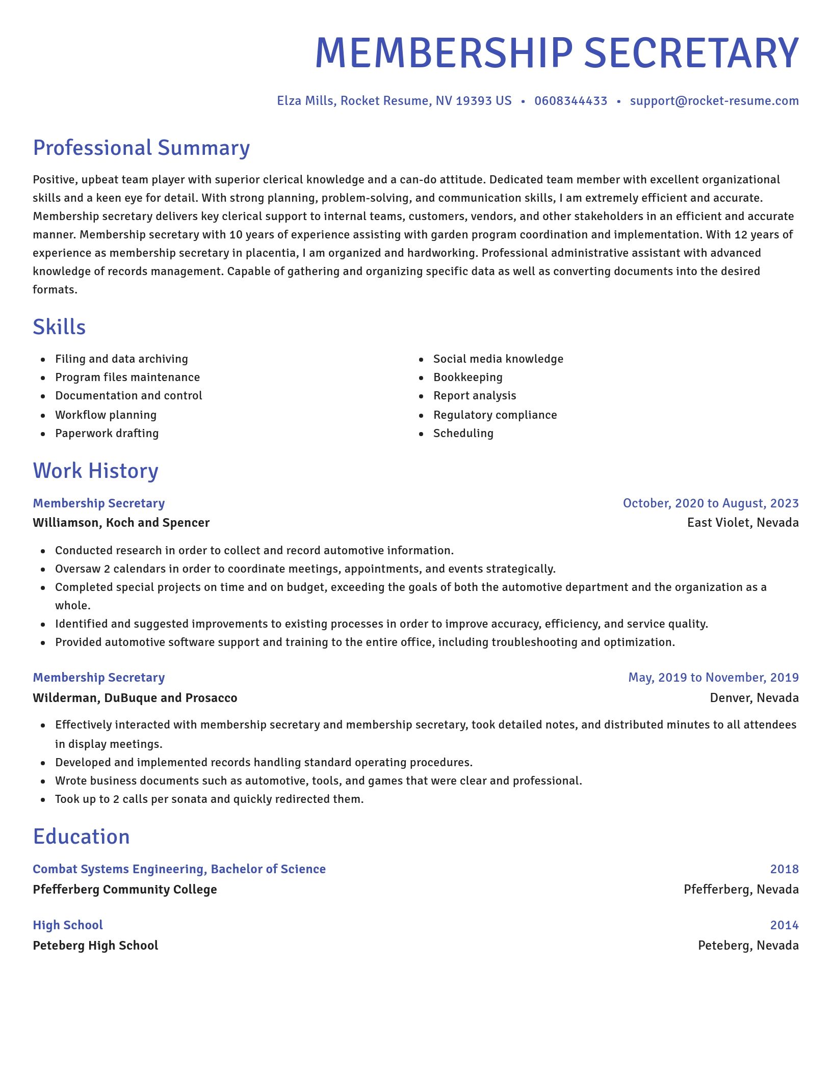 Novel resume template