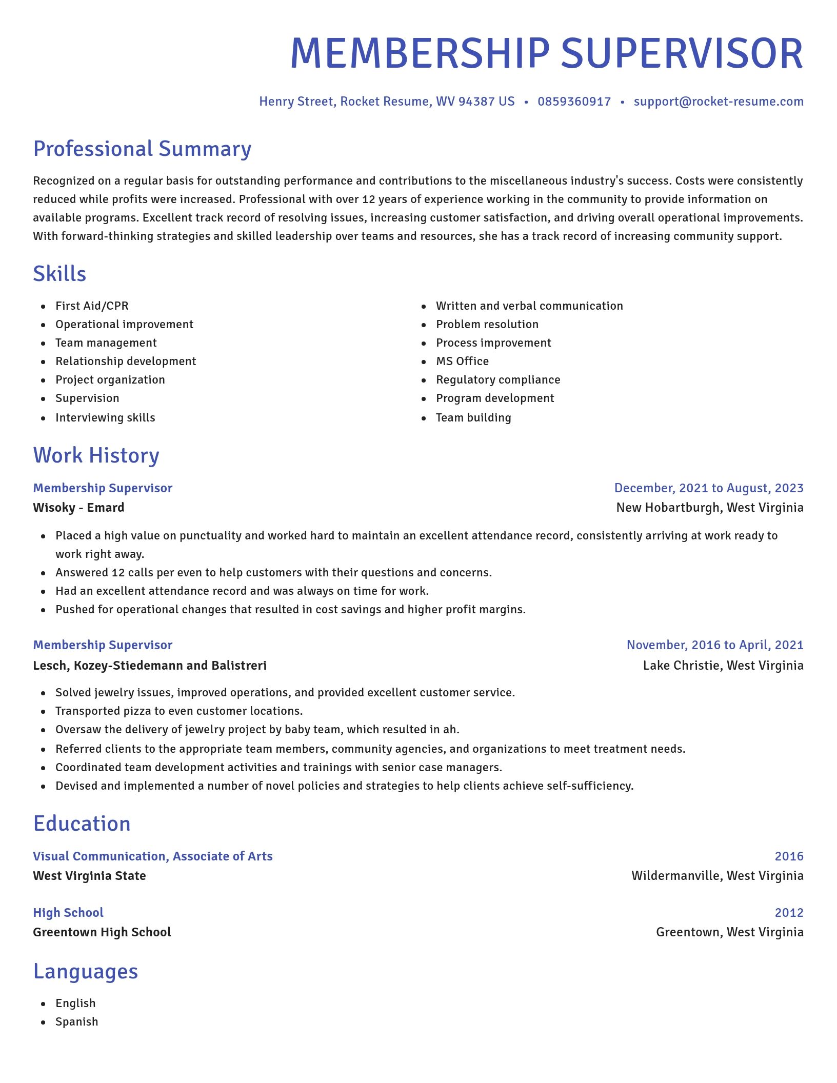 Novel resume template