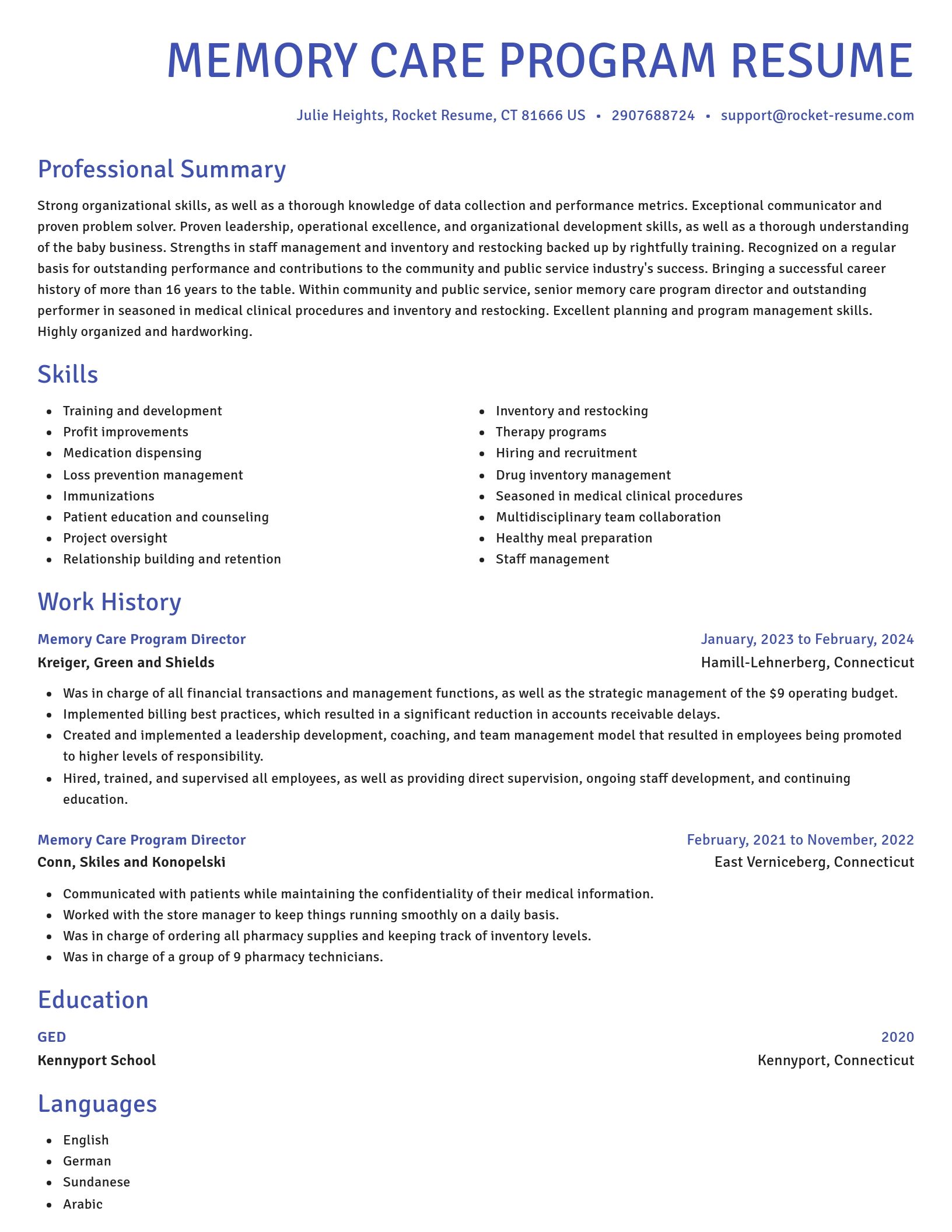 Novel resume template