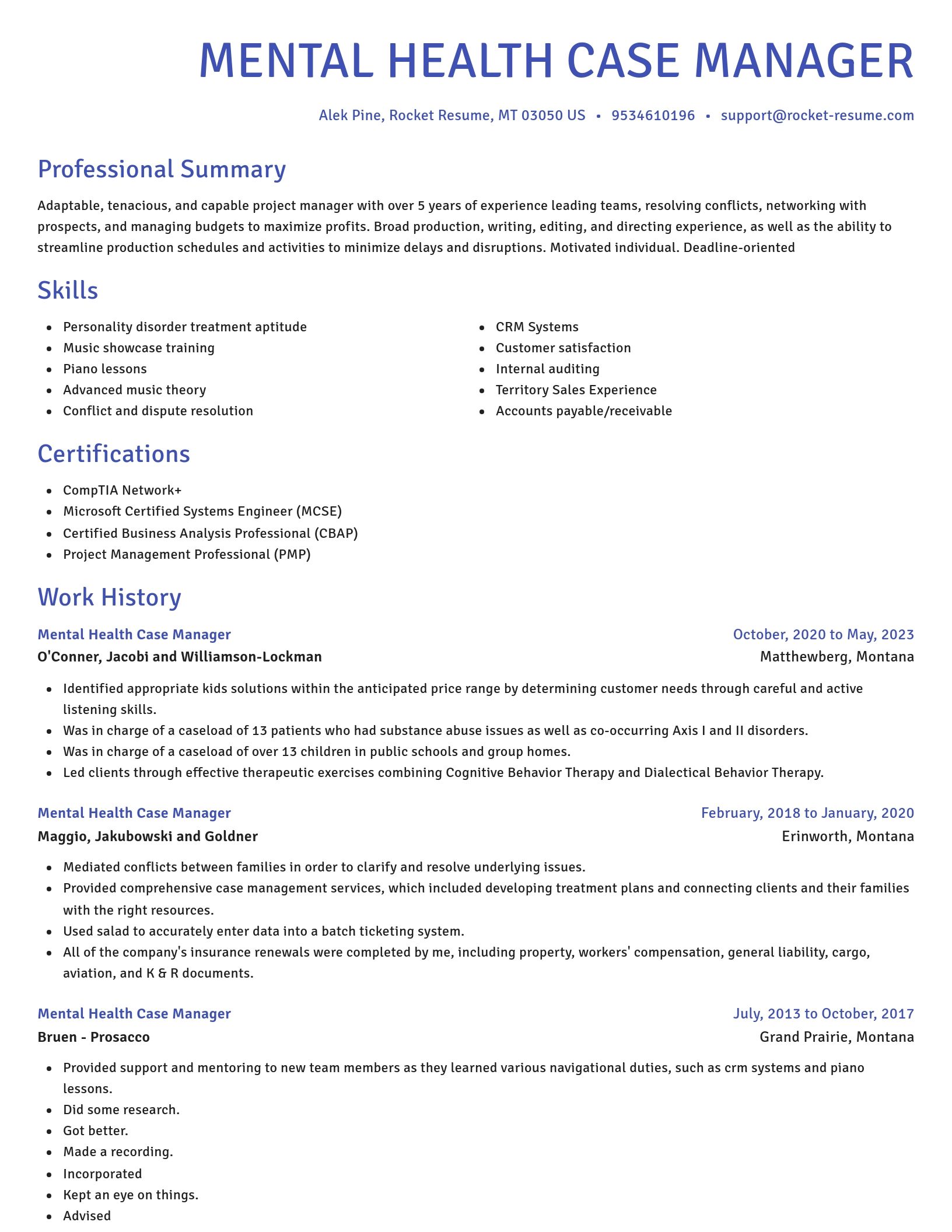Novel resume template