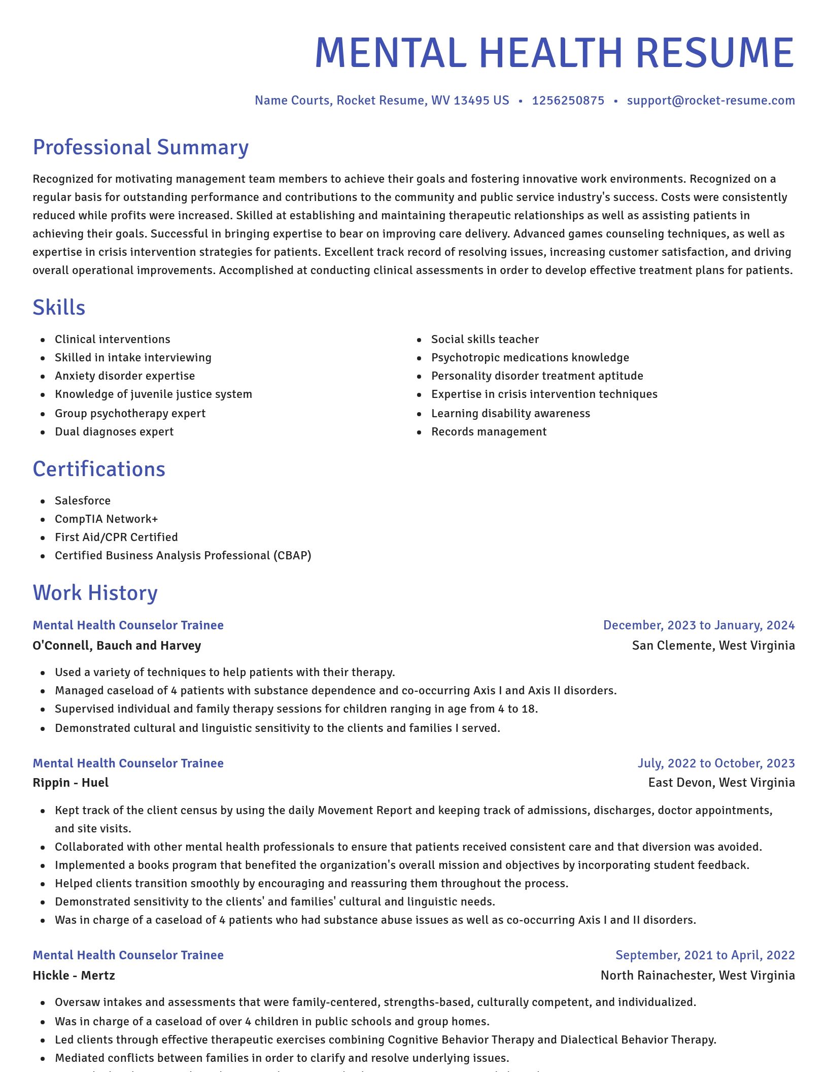 Novel resume template