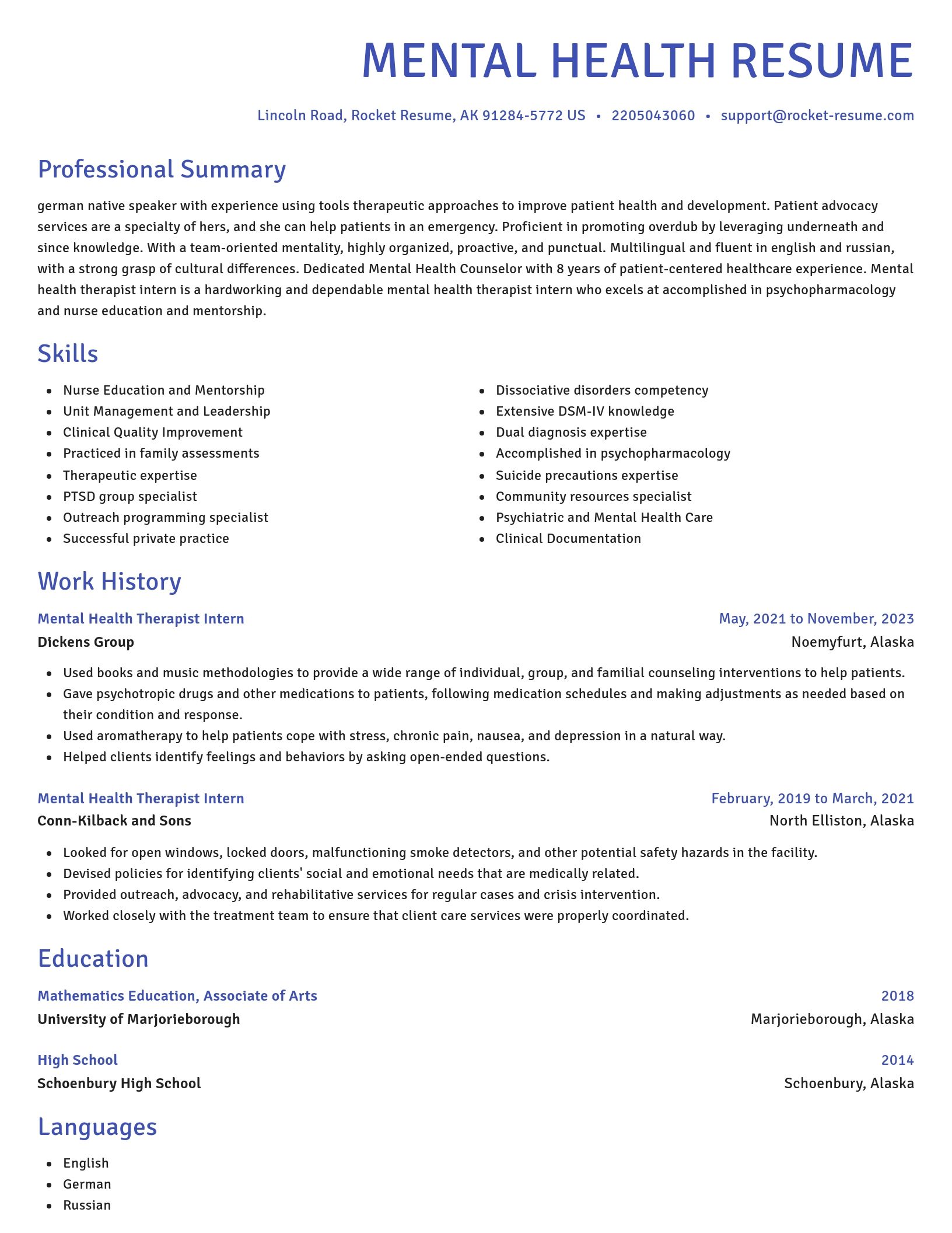 Novel resume template
