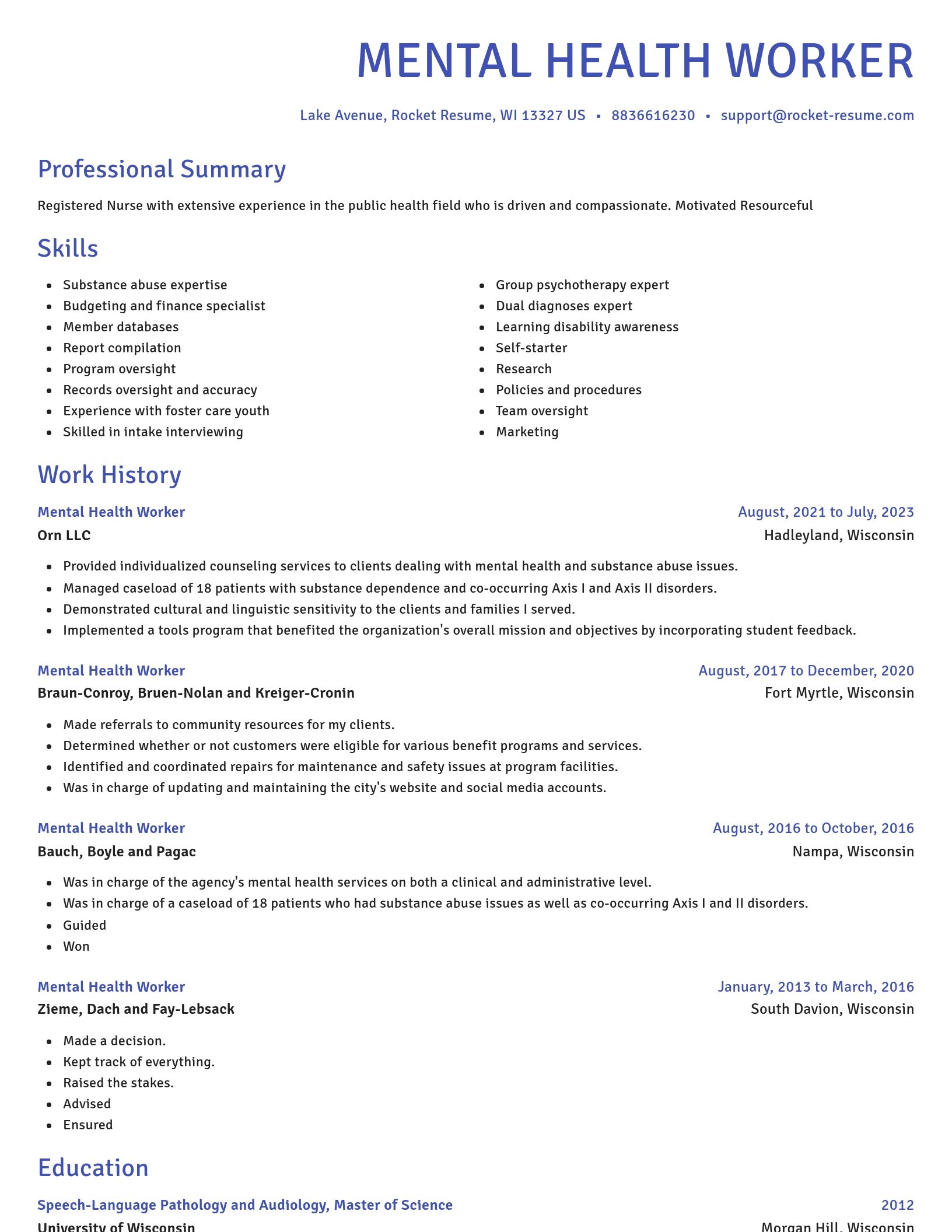 Novel resume template
