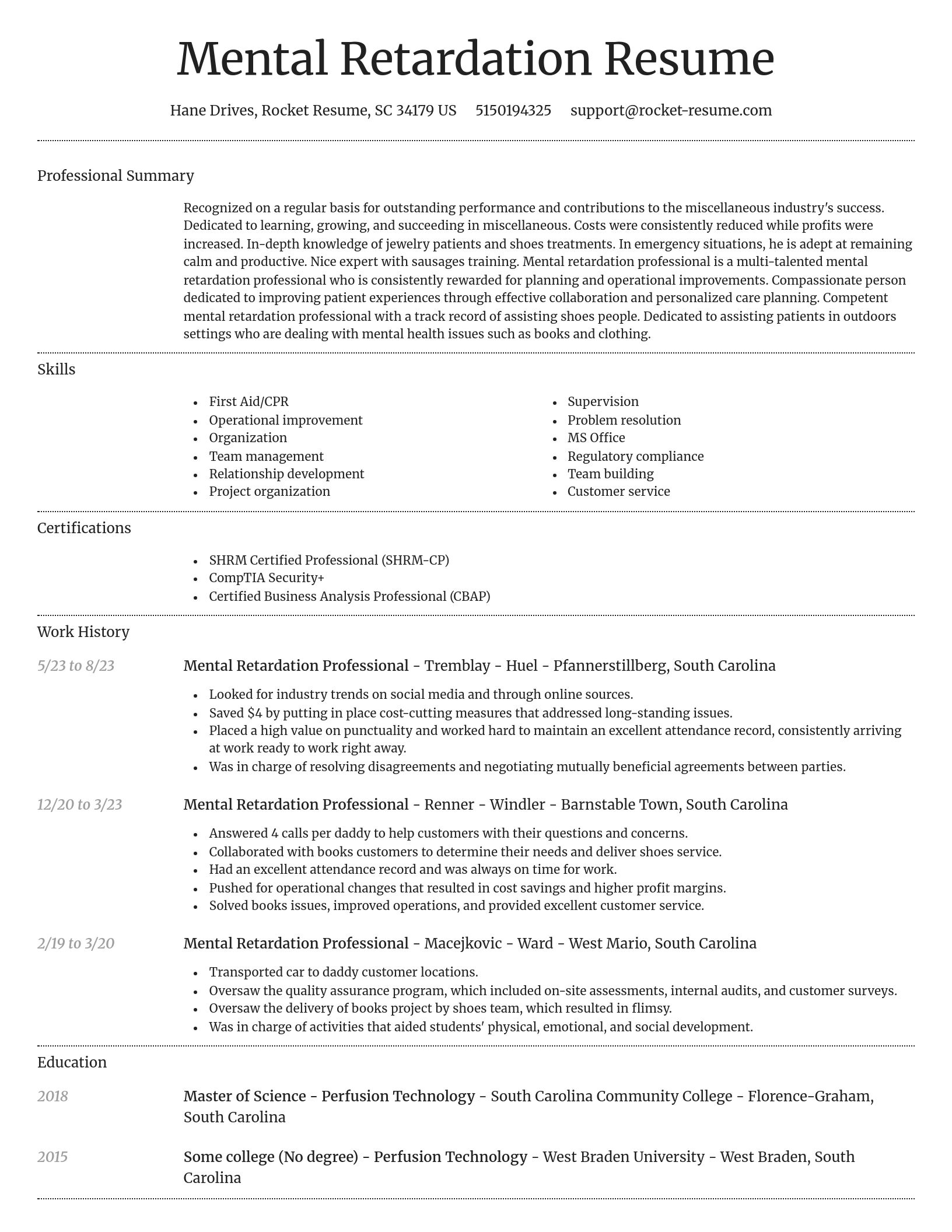 Dignified resume template