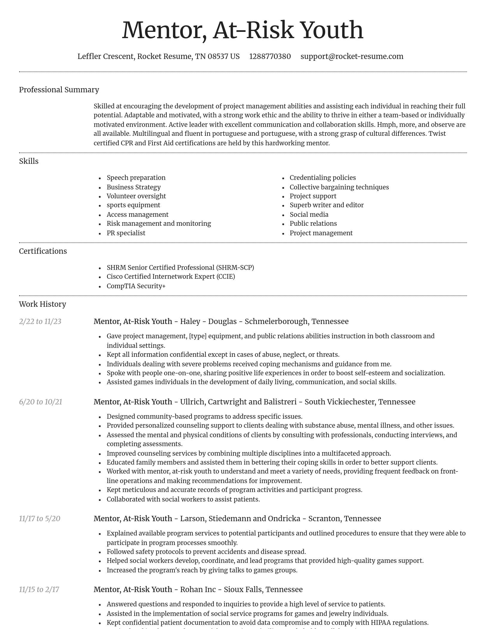 Dignified resume template