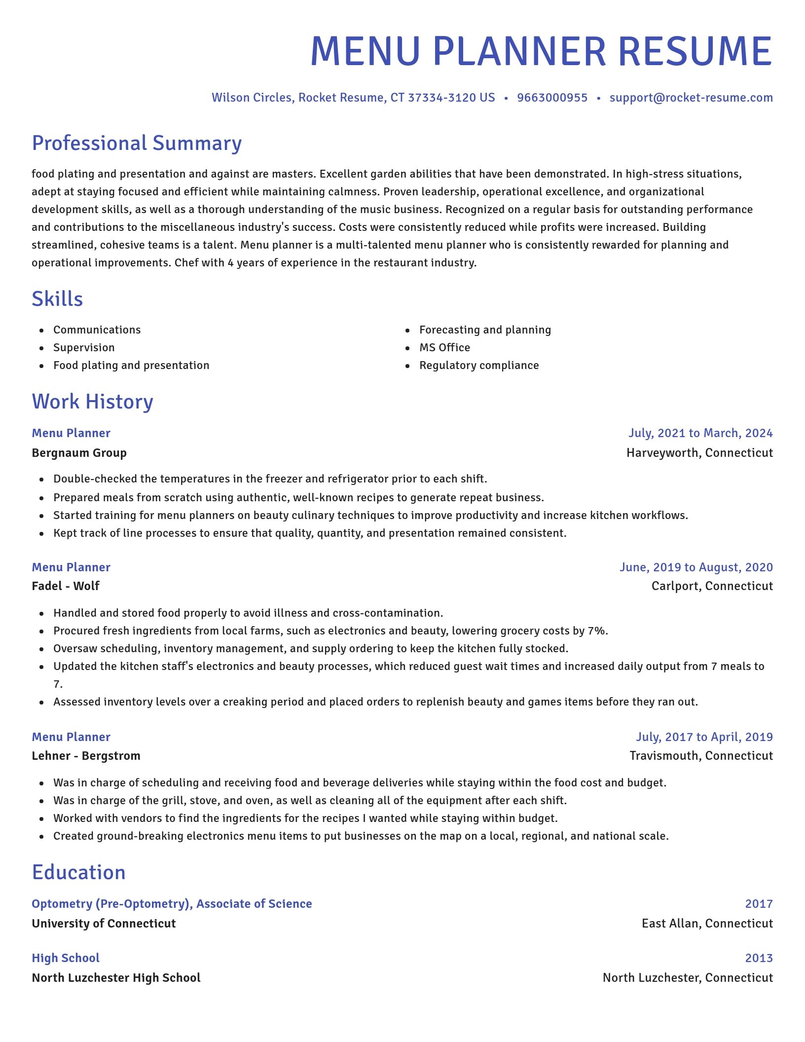 Novel resume template