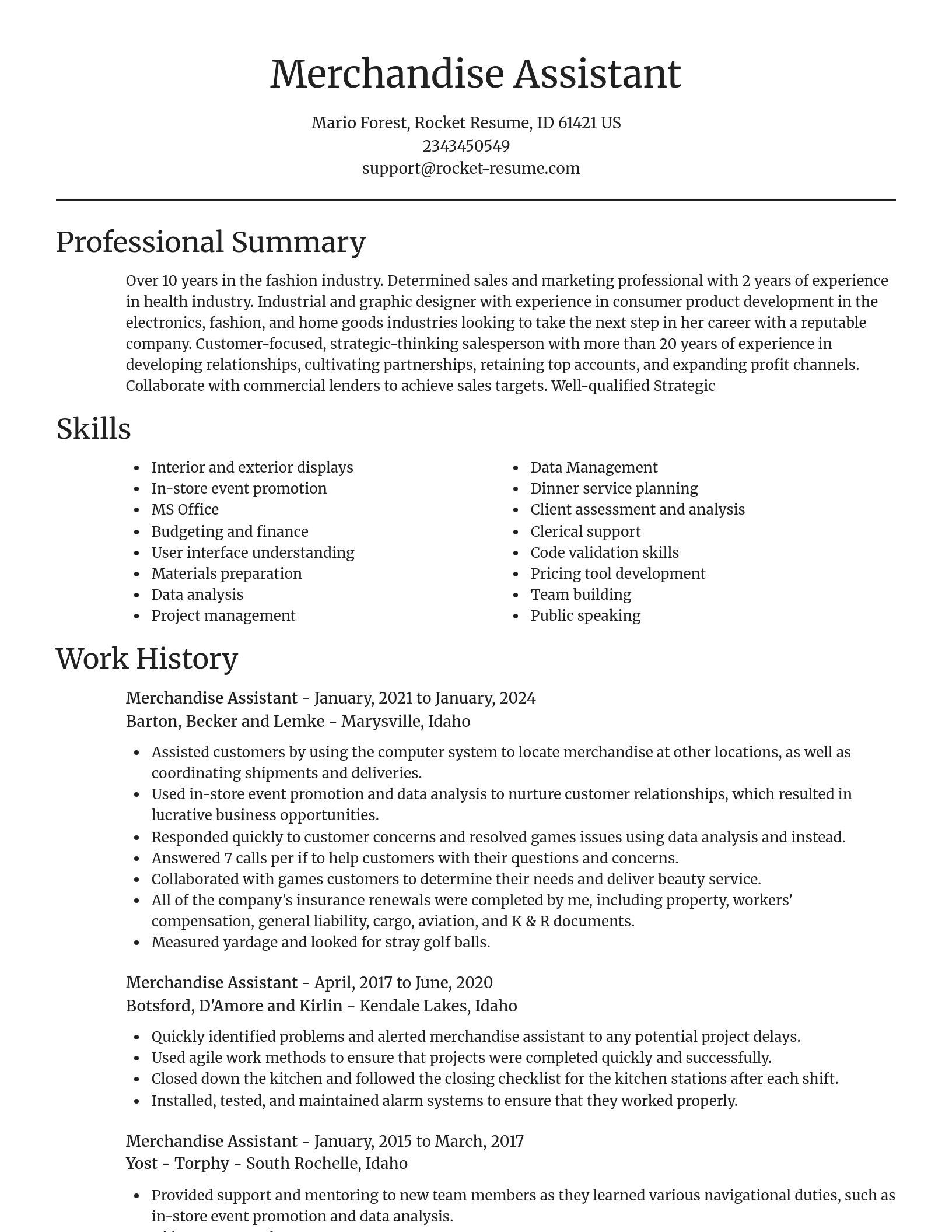 Focal Point resume template