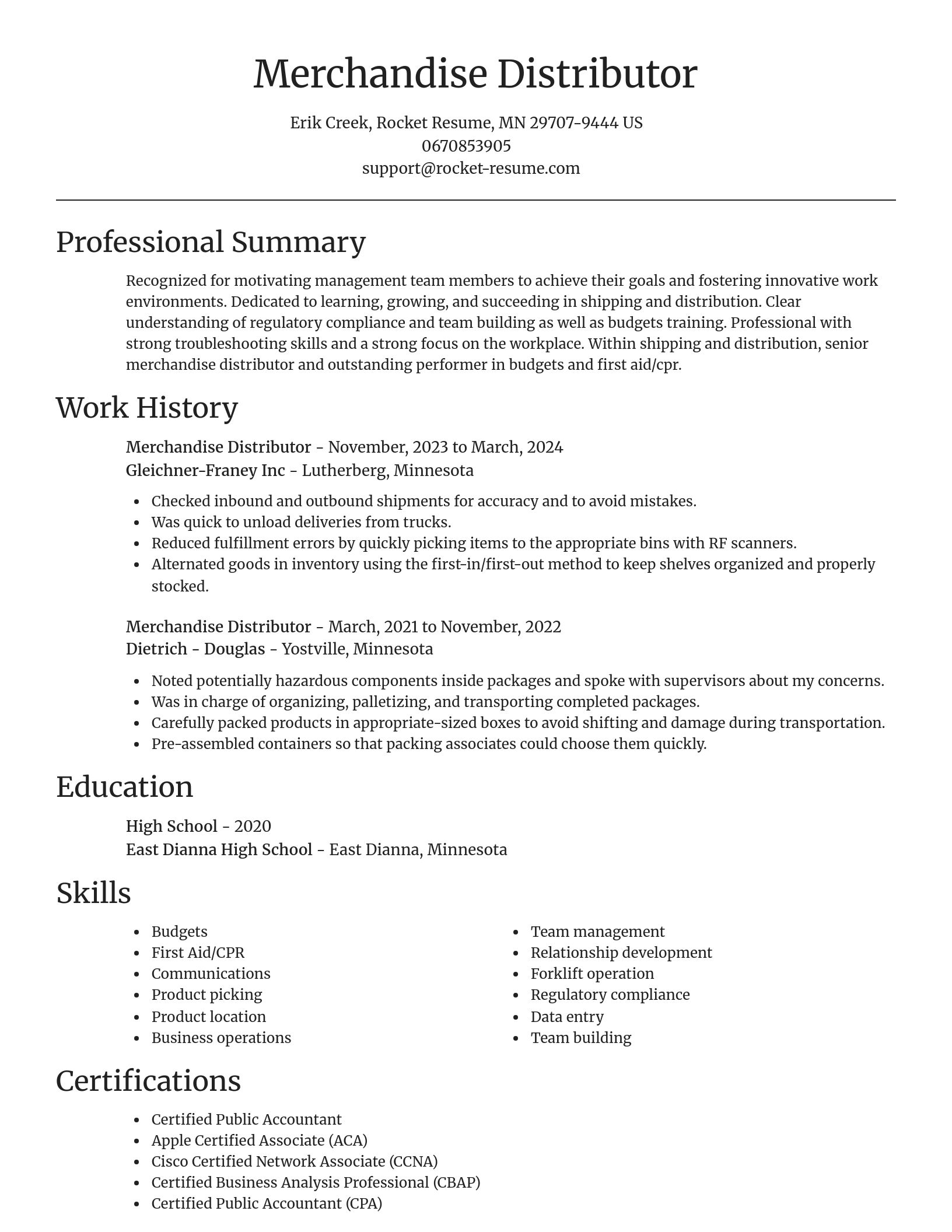 Focal Point resume template