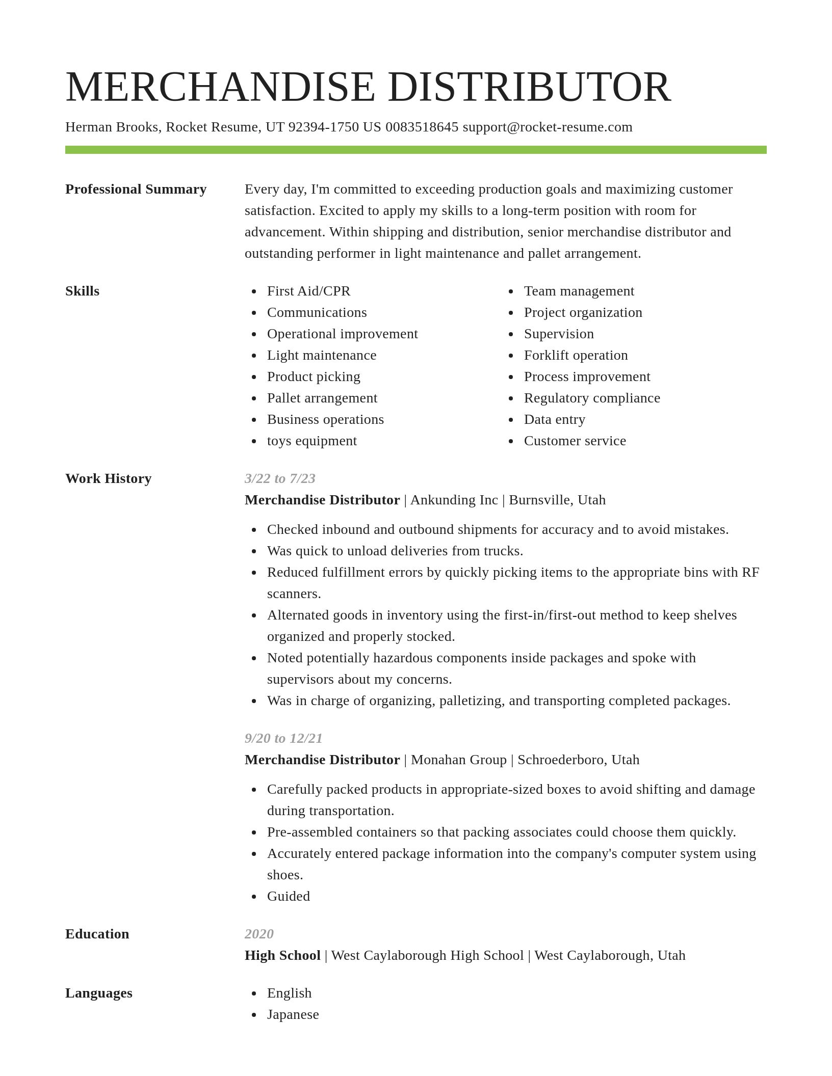 Smart resume template
