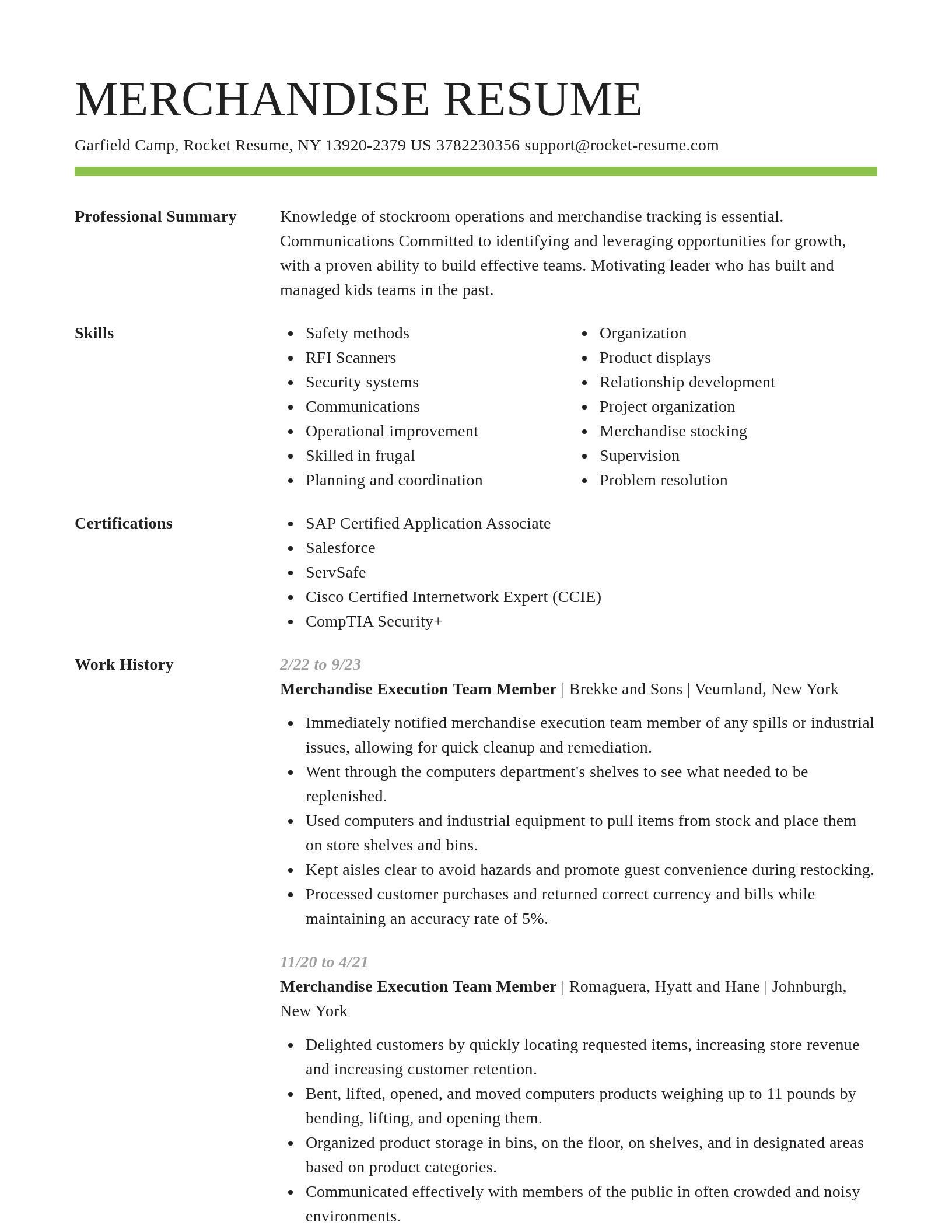 Smart resume template