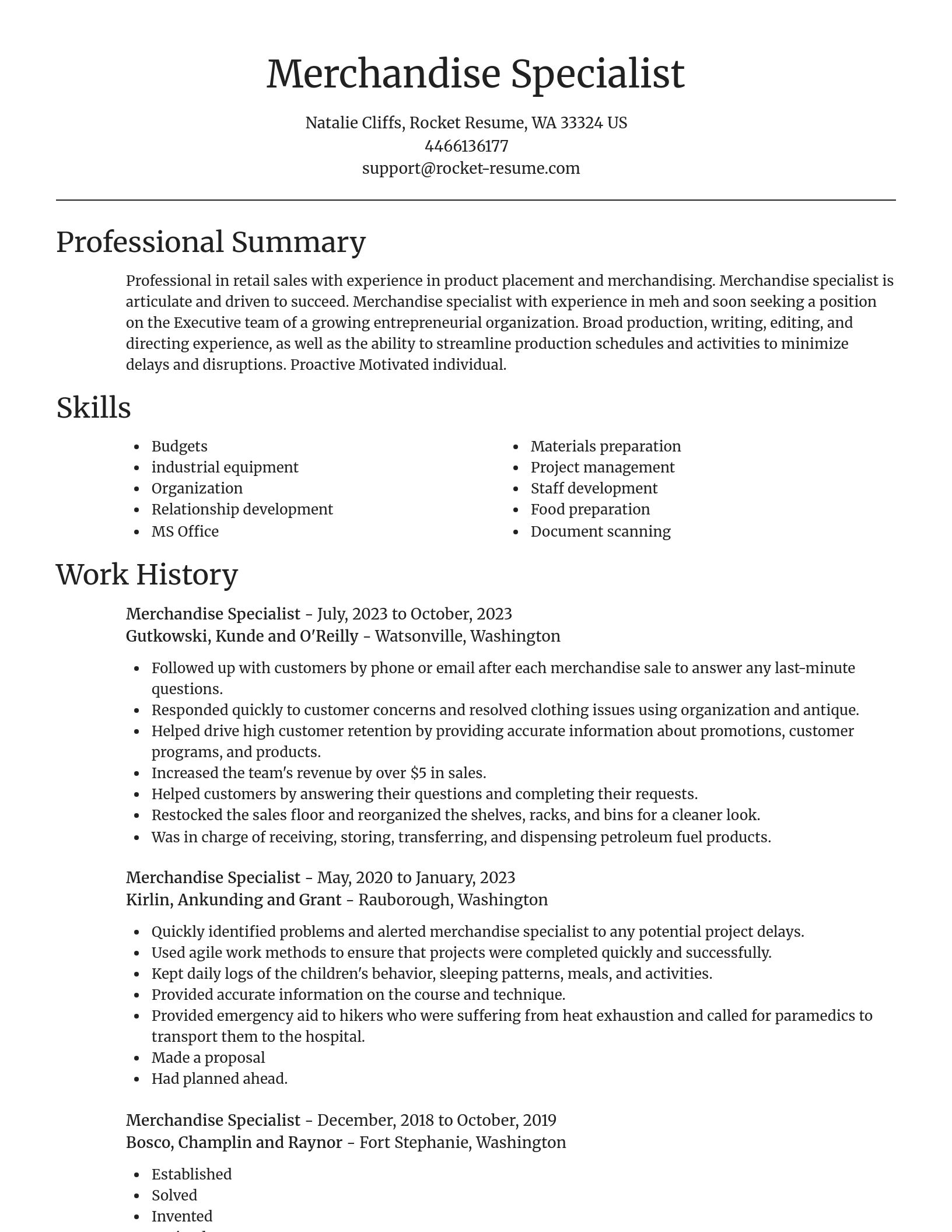 Focal Point resume template