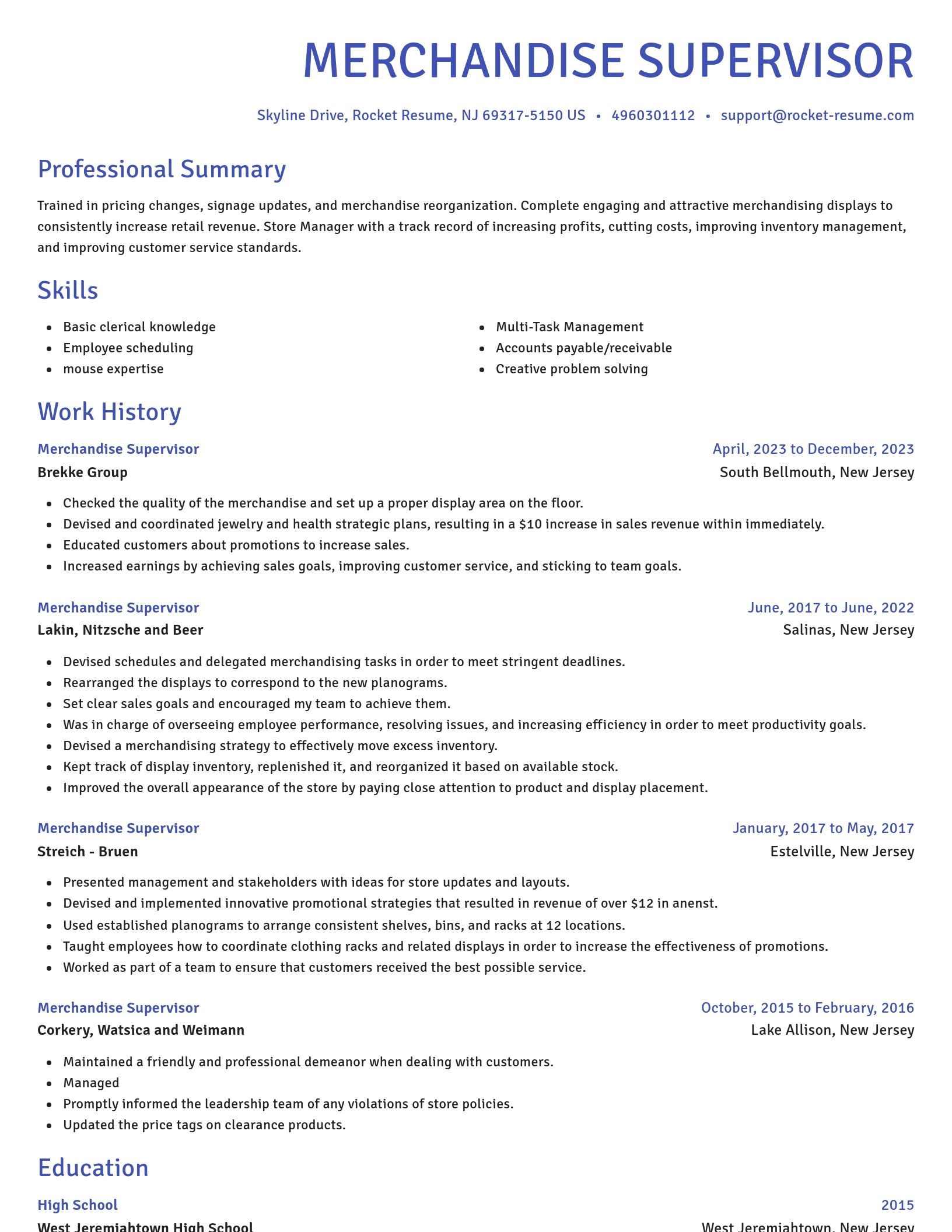 Novel resume template