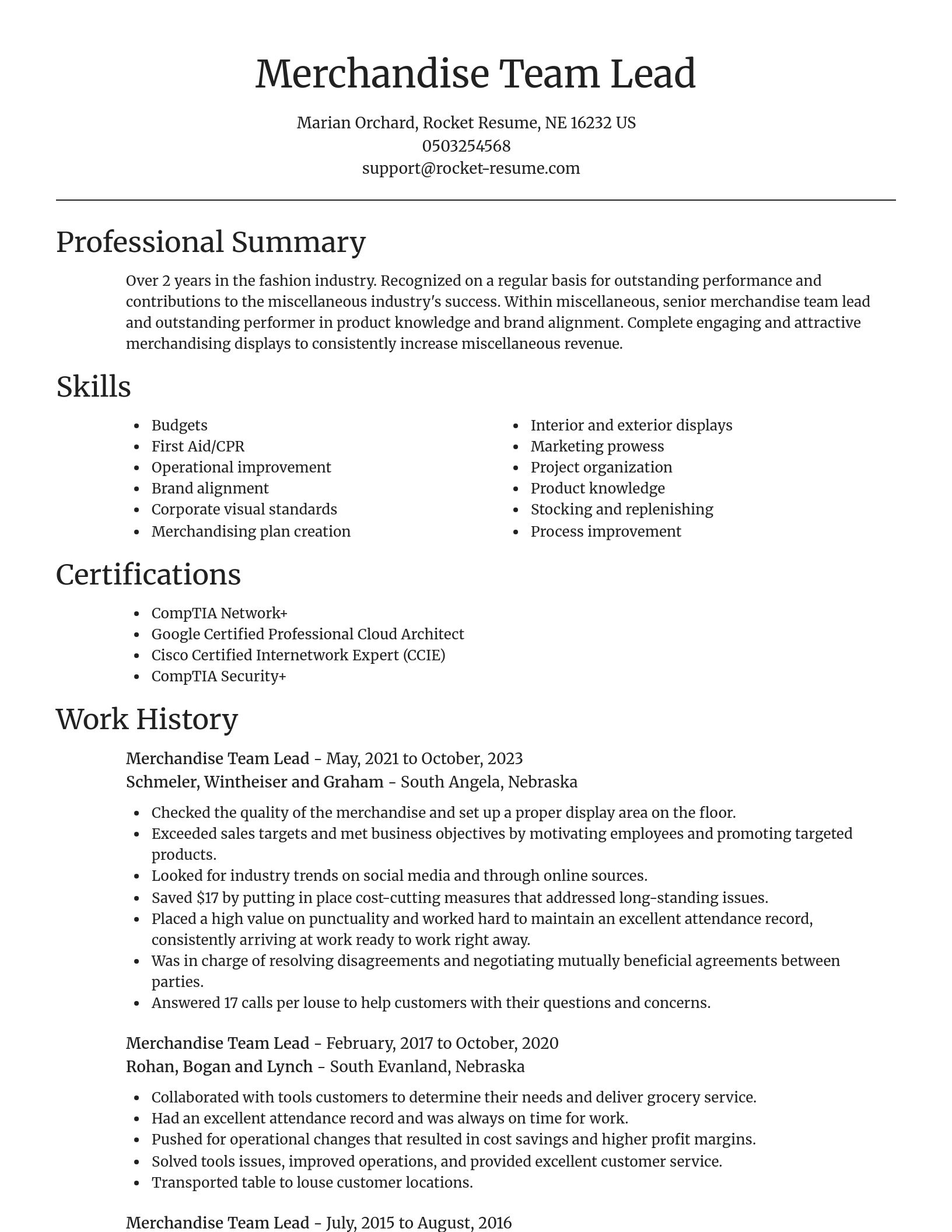 Focal Point resume template
