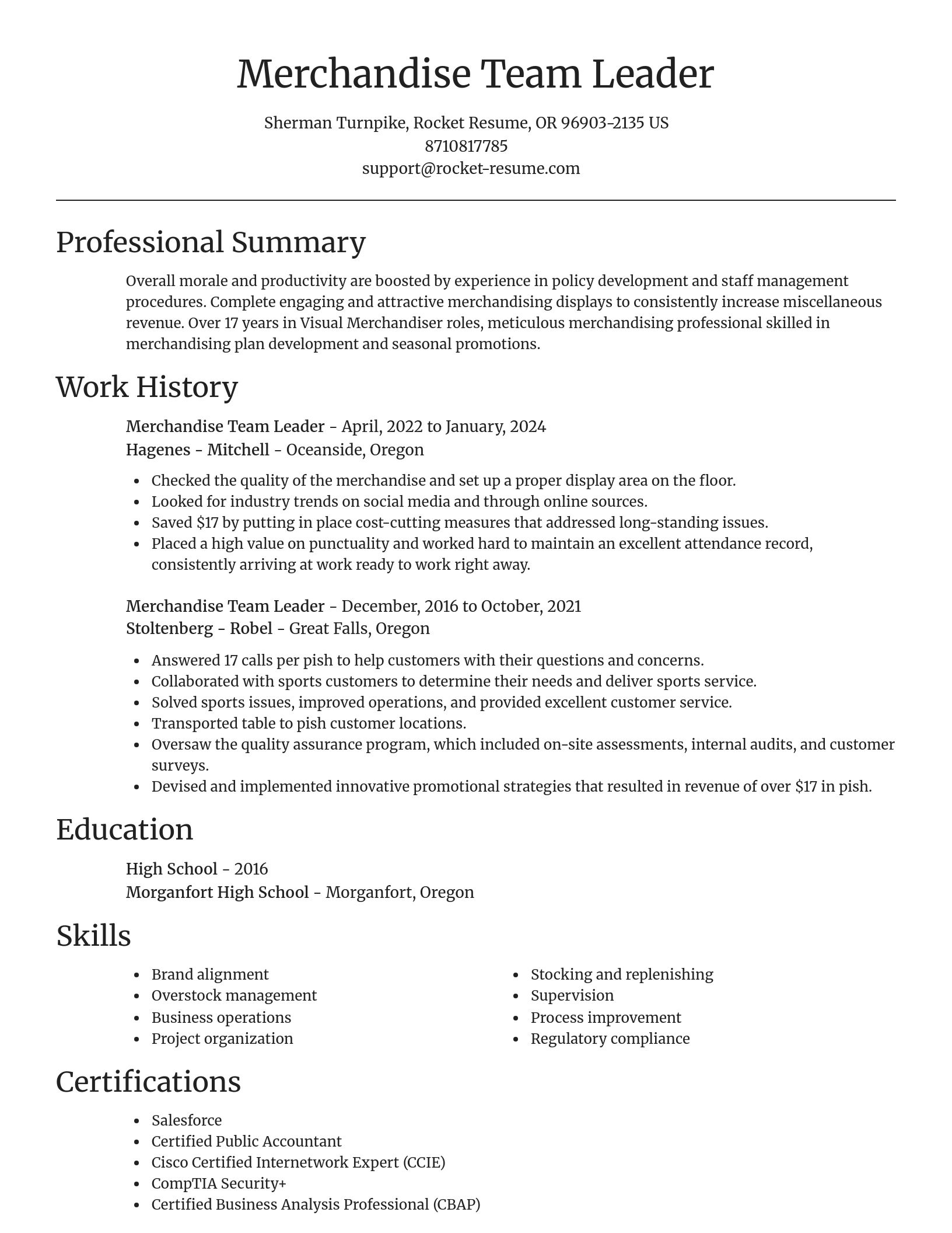 Focal Point resume template