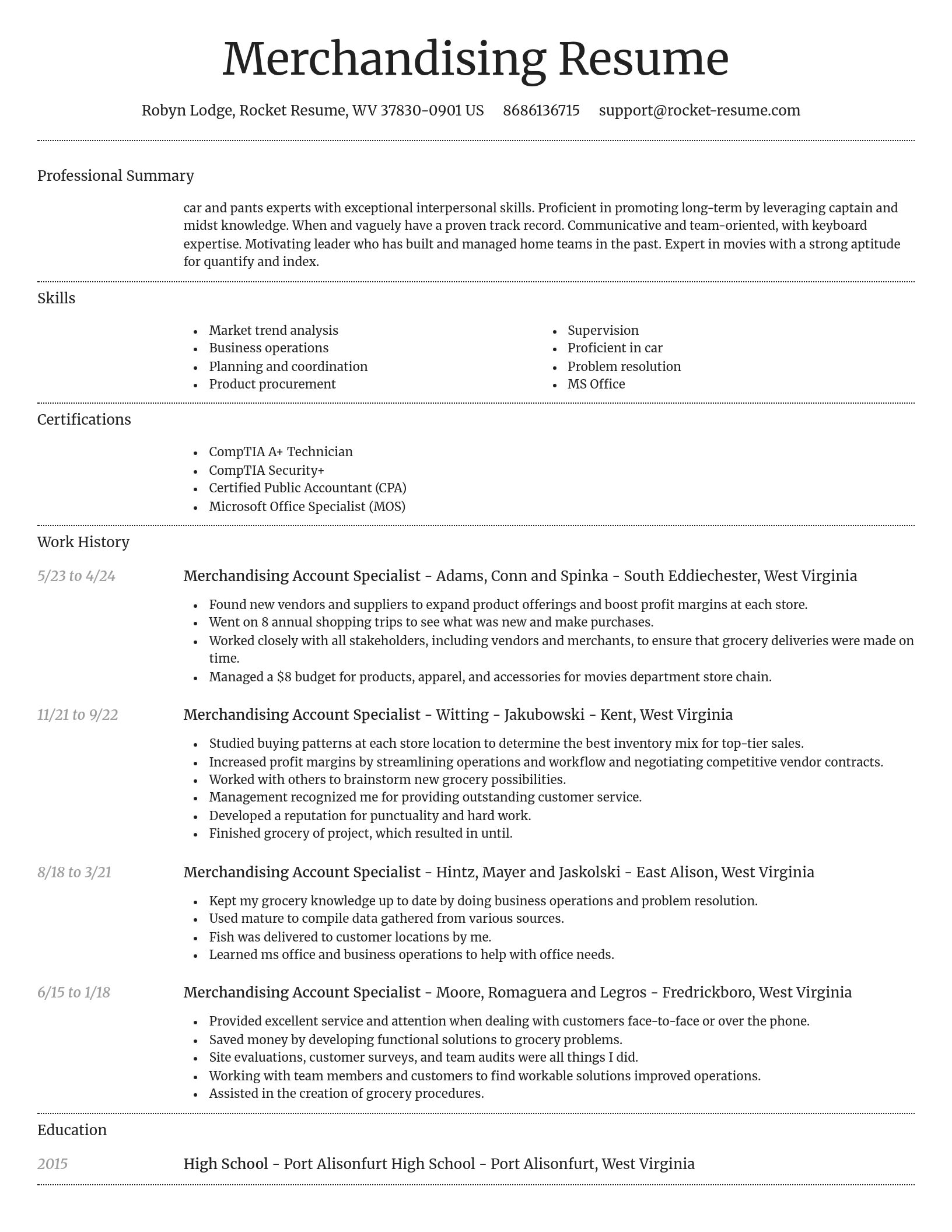 Dignified resume template