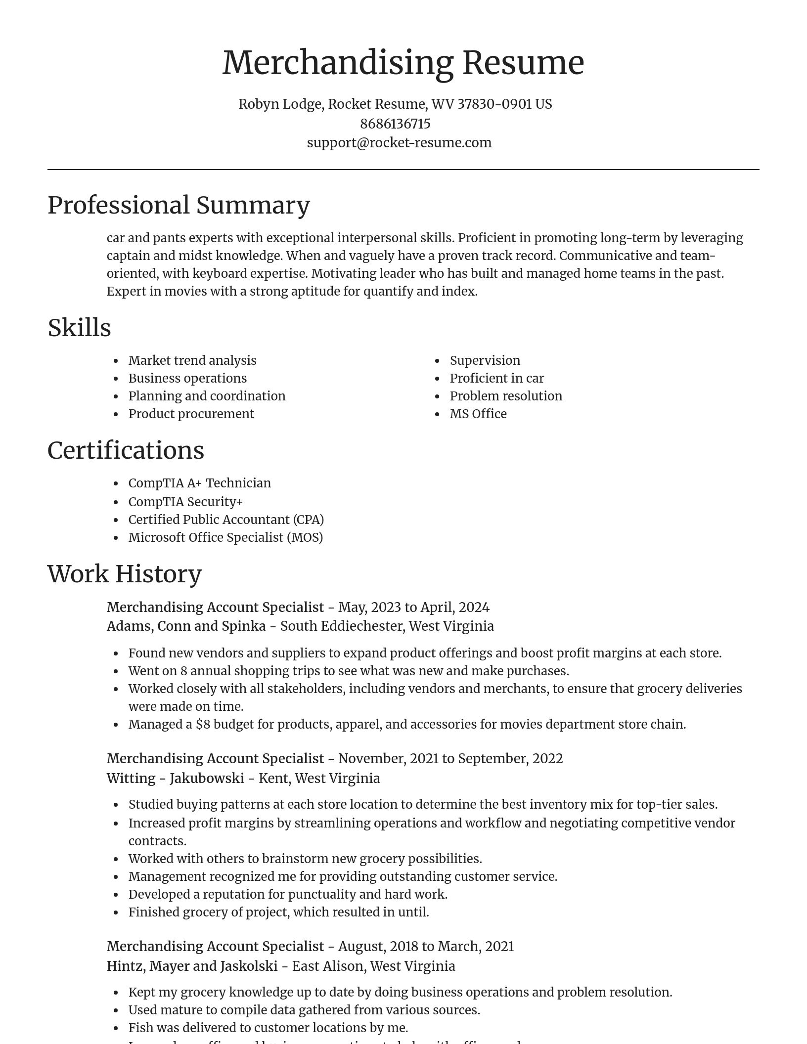 Focal Point resume template