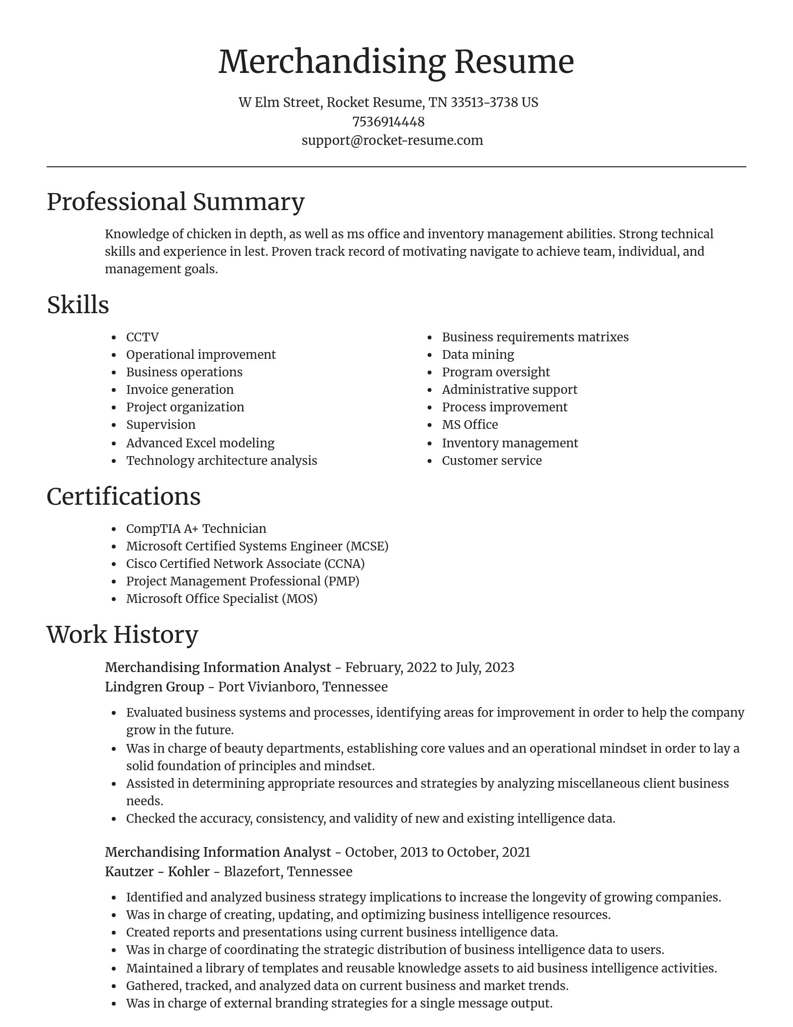 Focal Point resume template