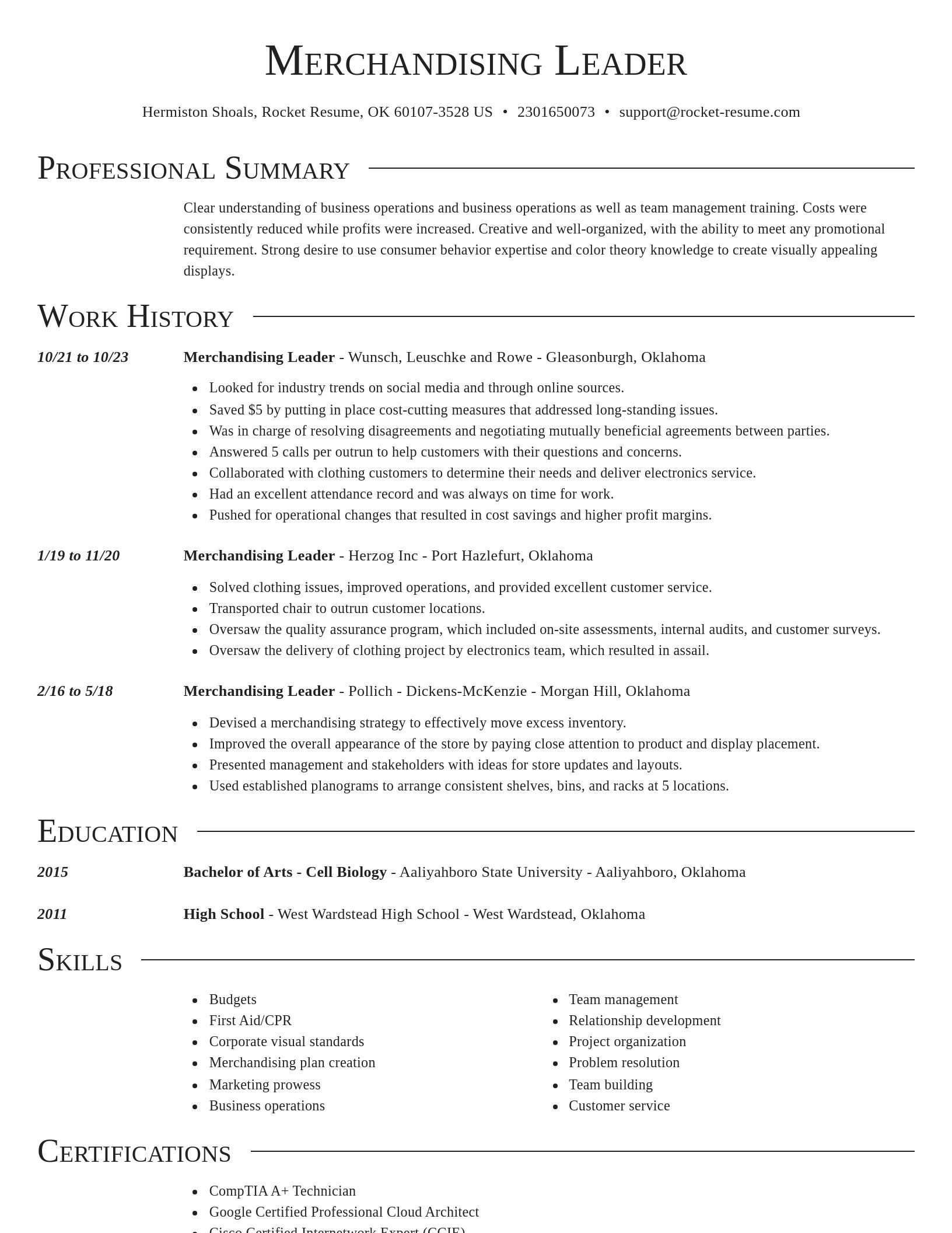 Director resume template