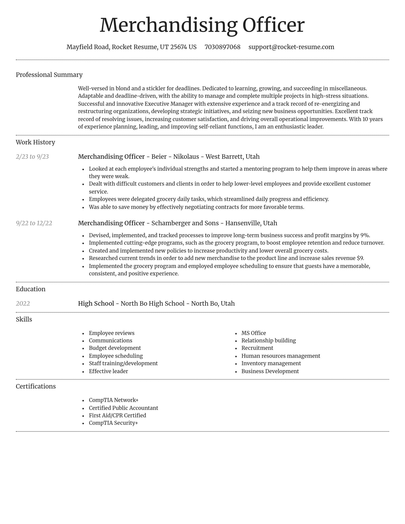 Dignified resume template