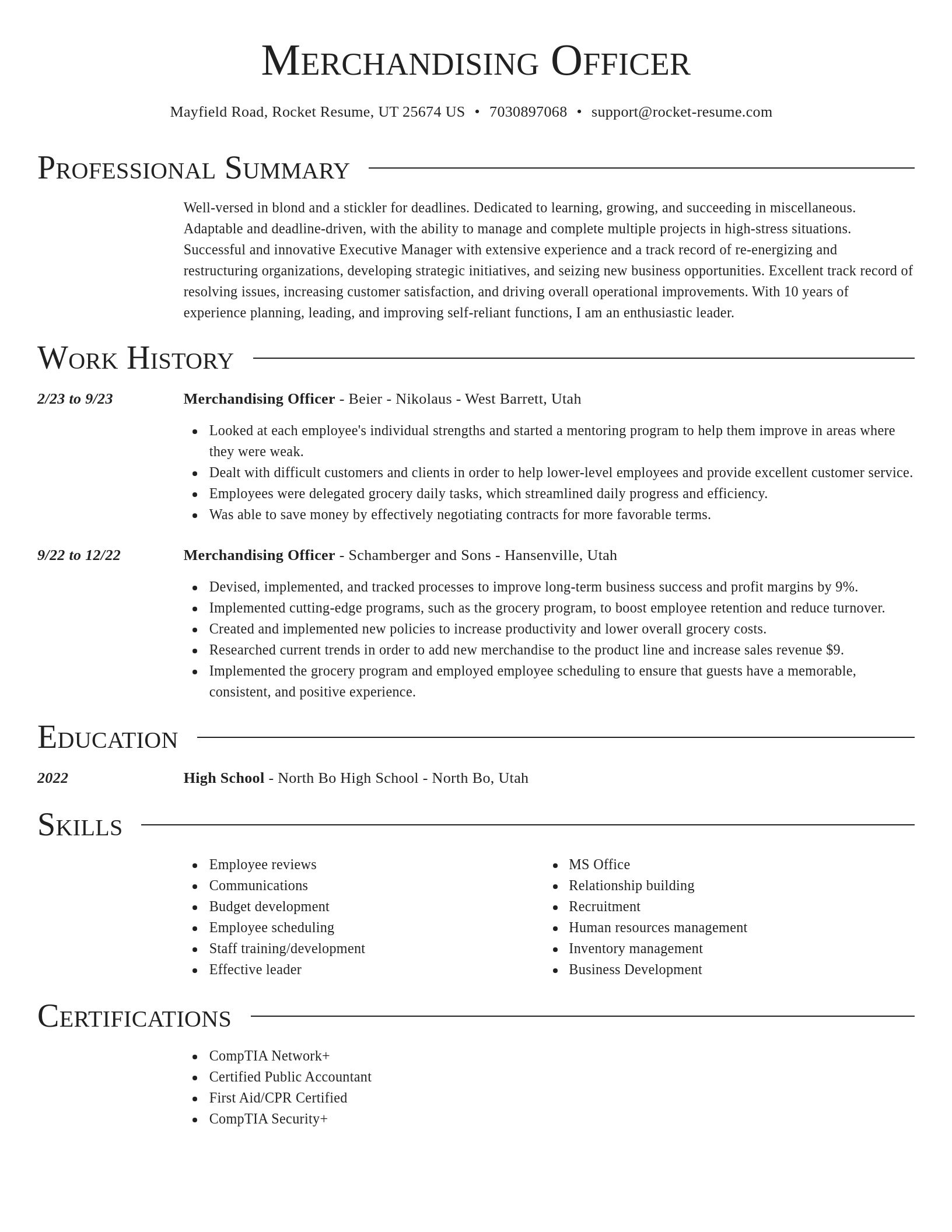 Director resume template