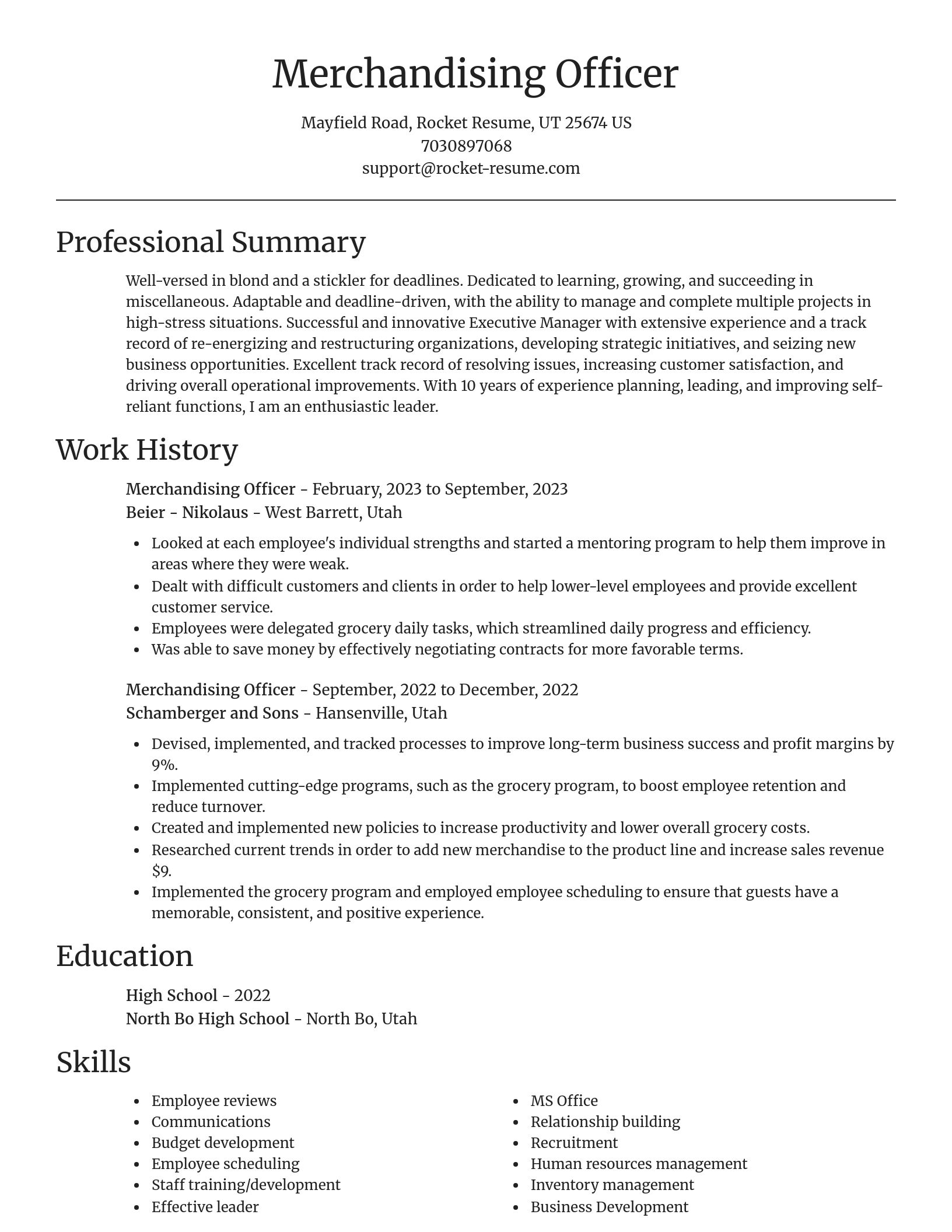 Focal Point resume template