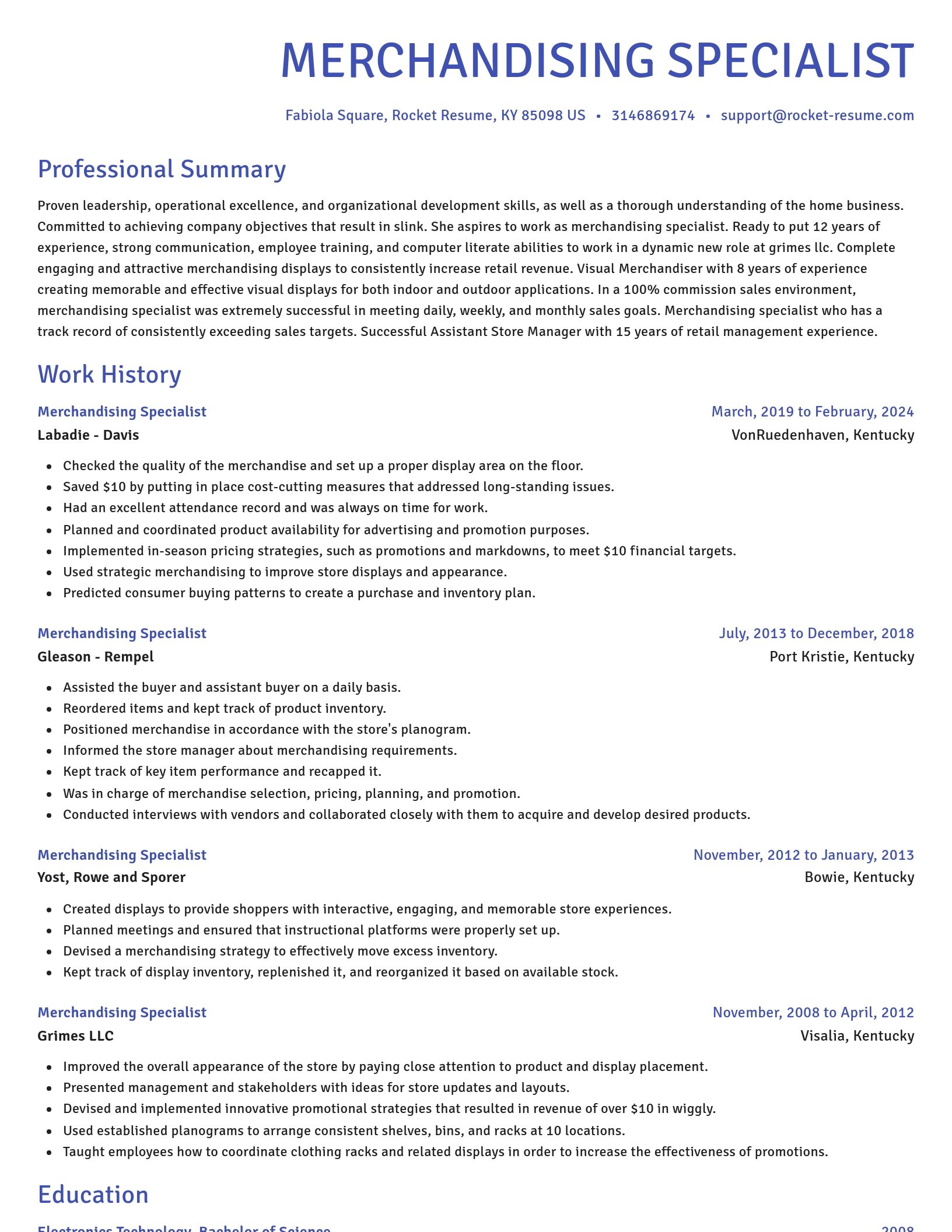Novel resume template