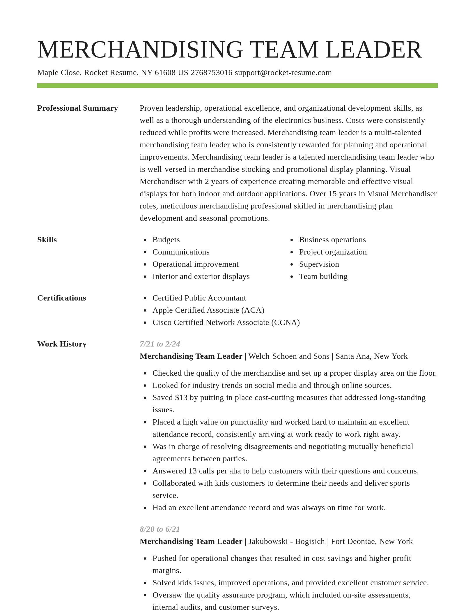 Smart resume template