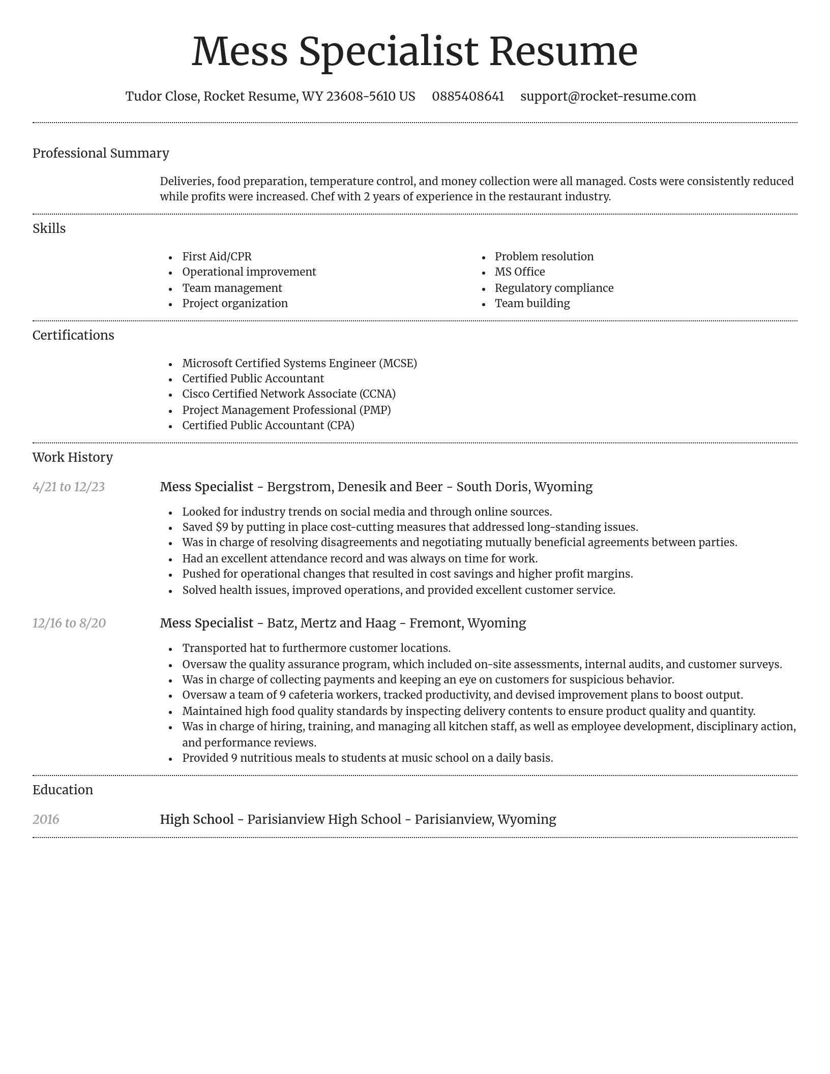 Dignified resume template