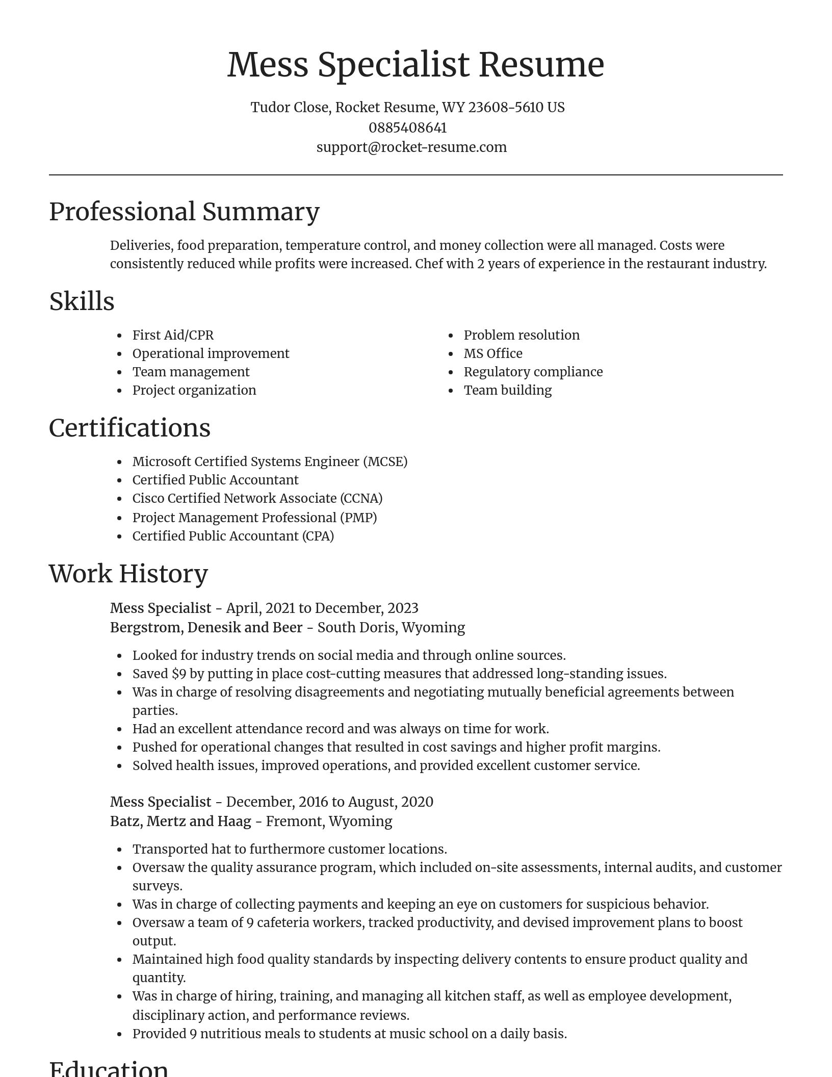 Focal Point resume template