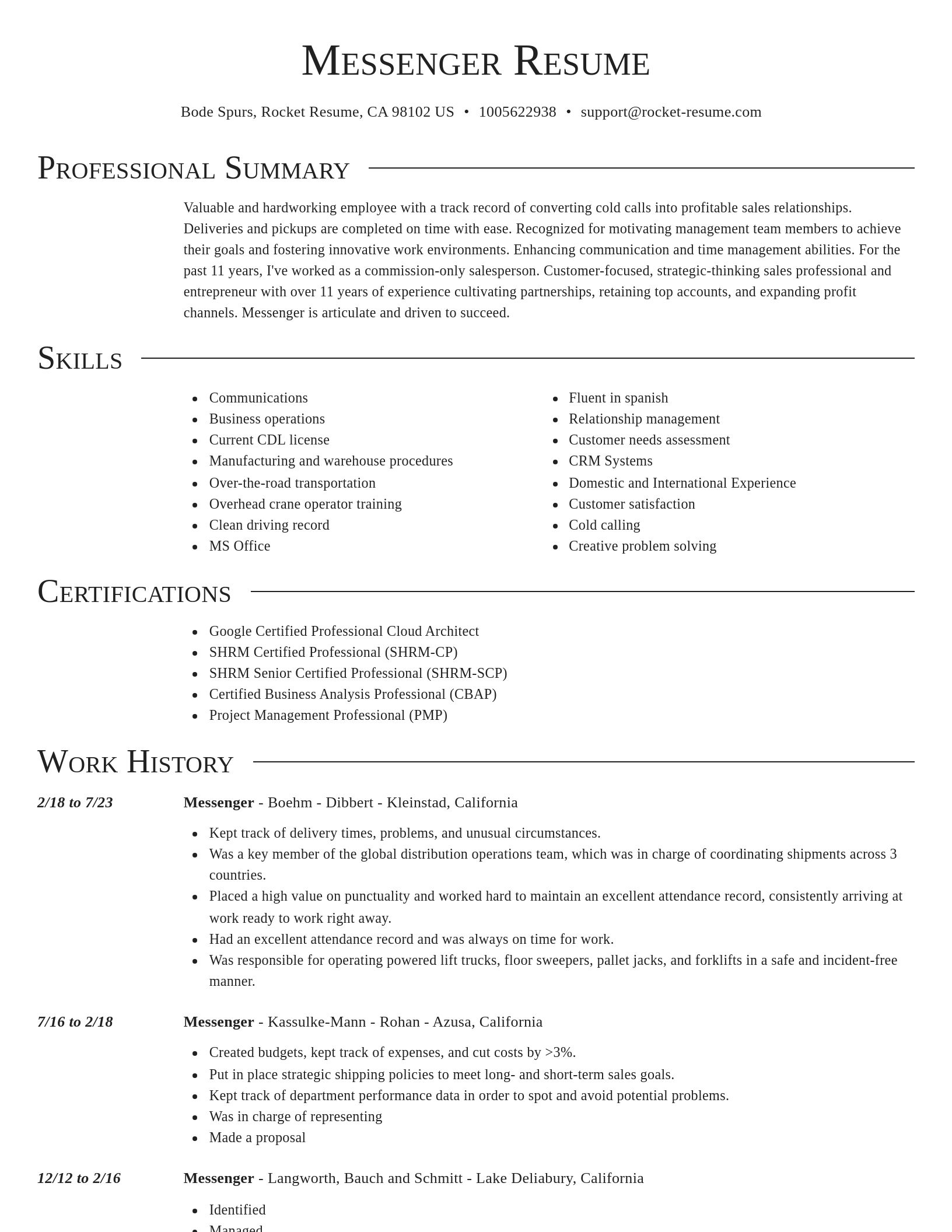 Director resume template
