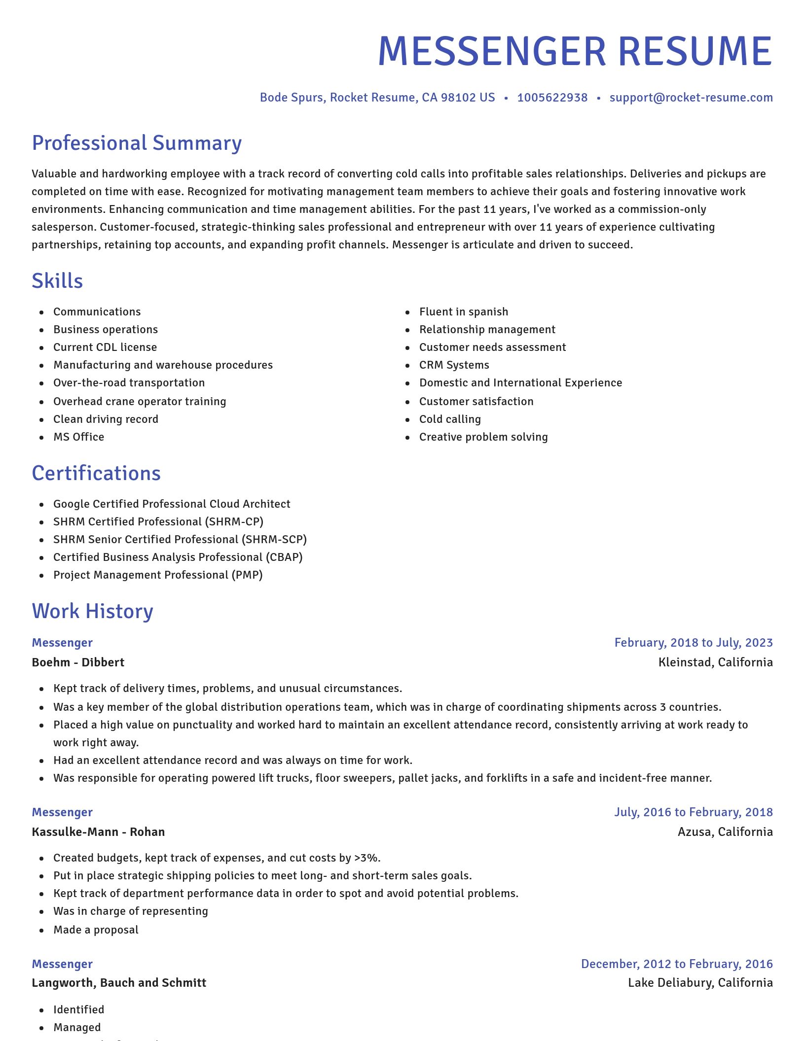 Novel resume template