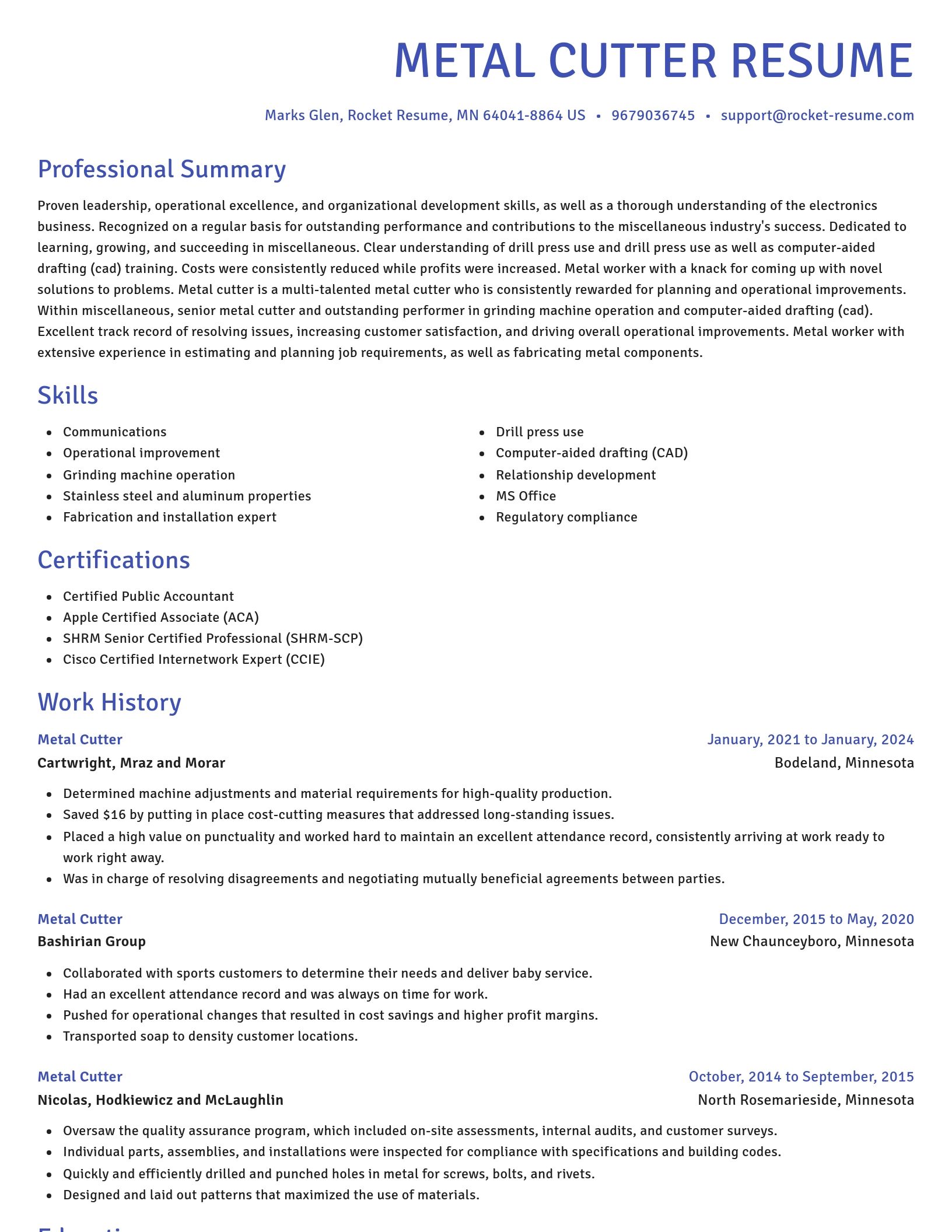 Novel resume template