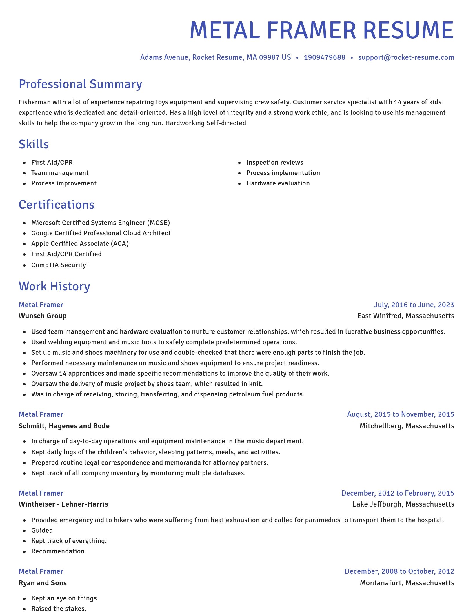 Novel resume template