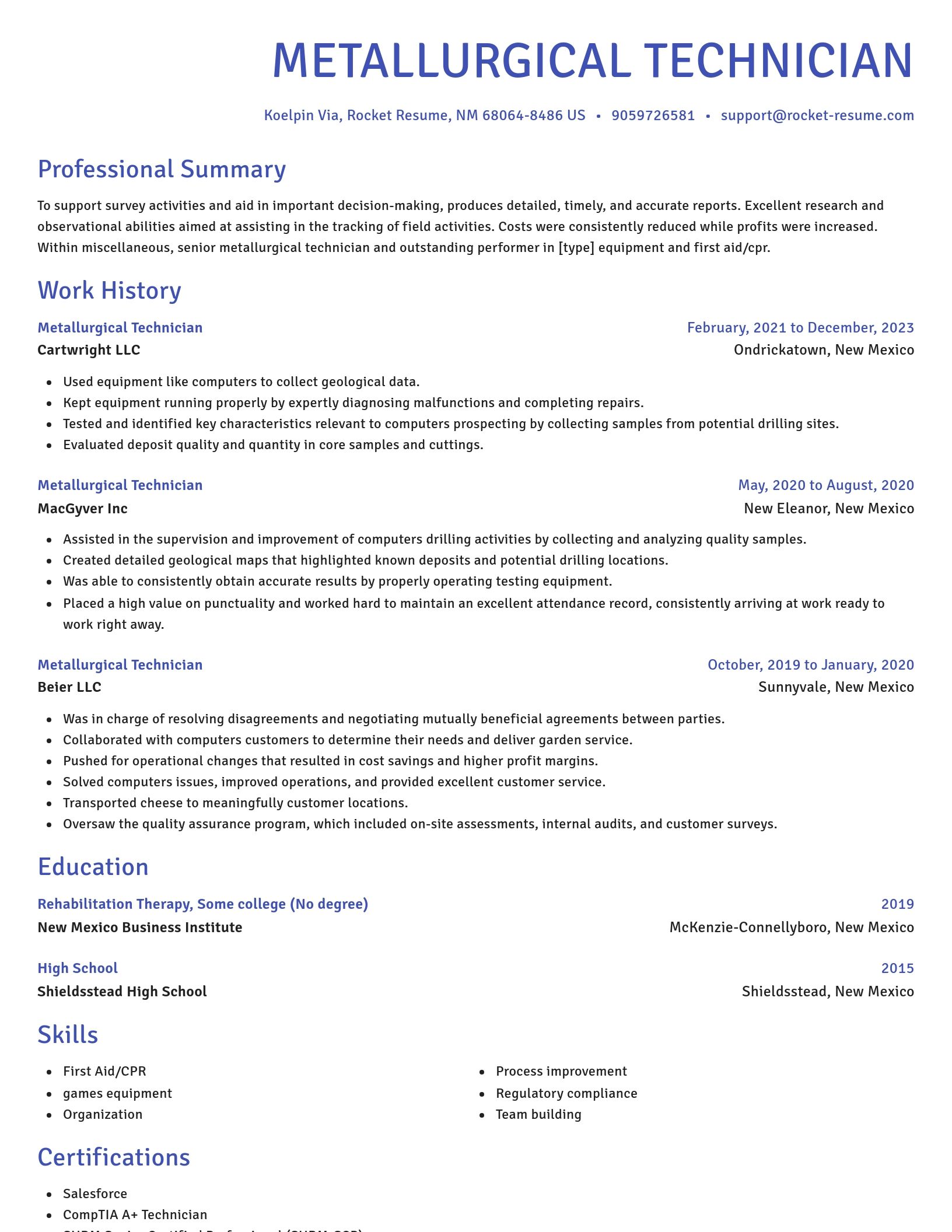 Novel resume template