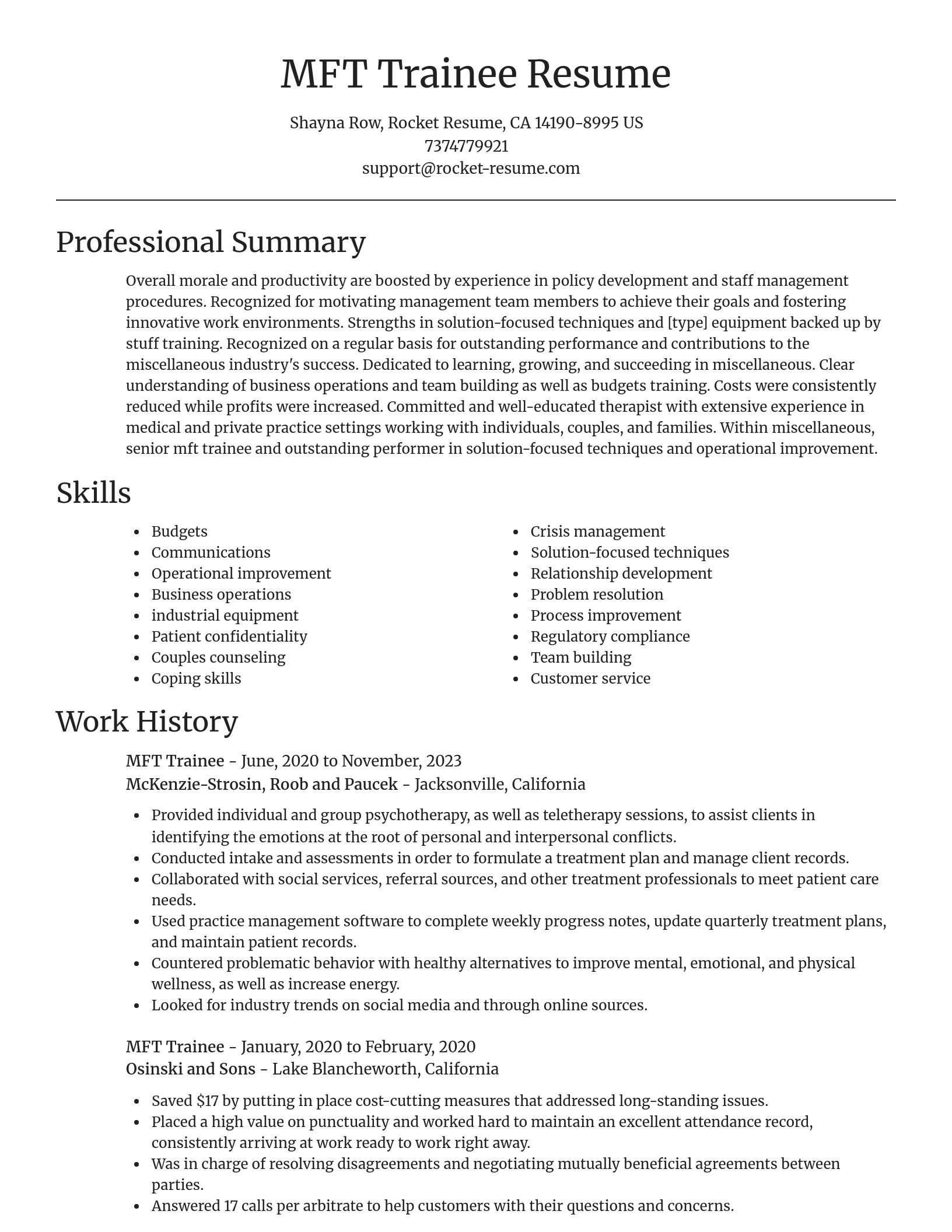 Focal Point resume template