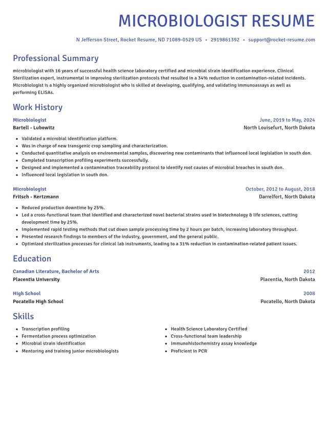 Novel resume template