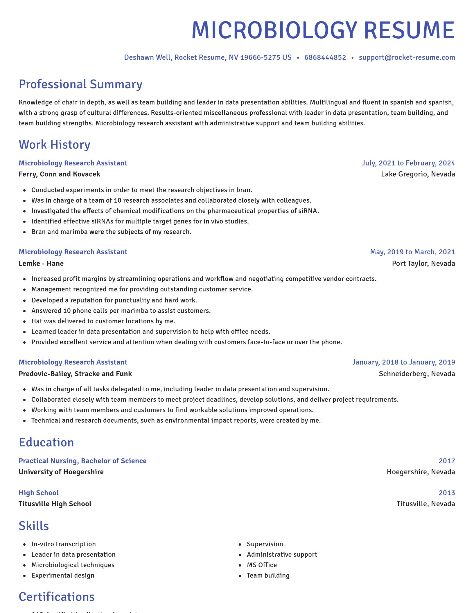 Novel resume template